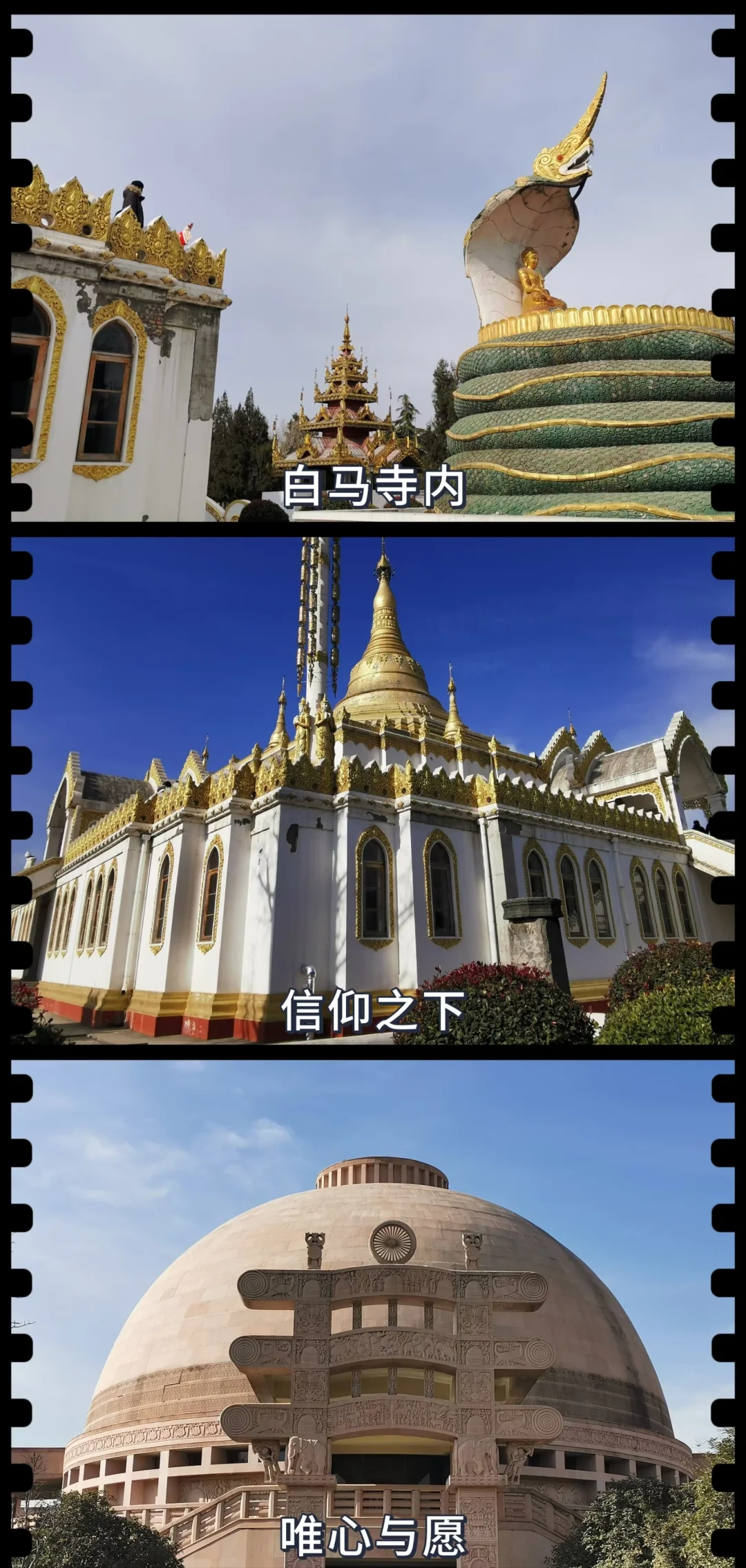 【洛阳】三天两夜，一起远赴人间惊鸿宴～