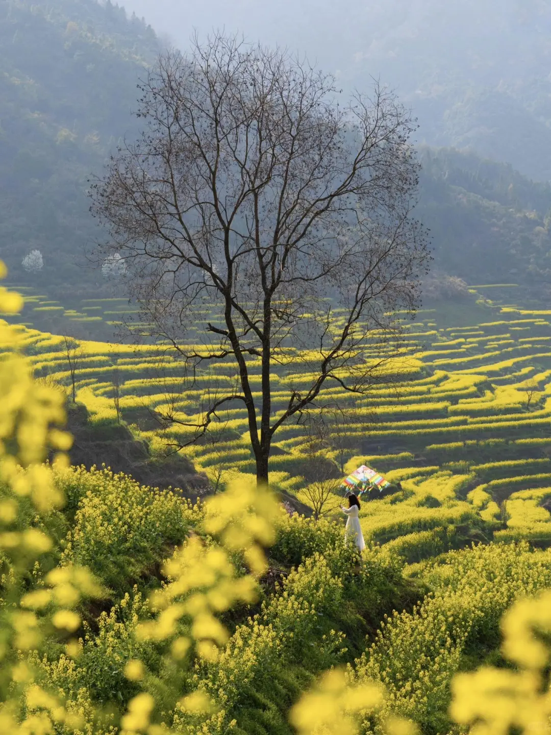 第一次去婺源千万不要把顺序搞反了