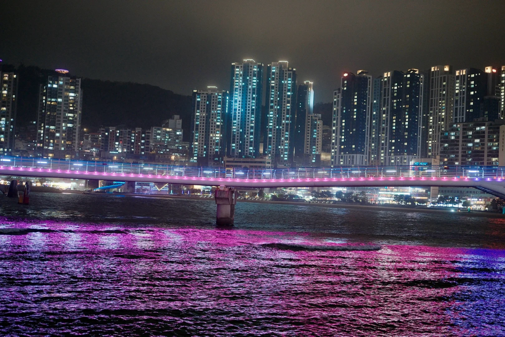 适合solo的釜山夜游klook半日团！