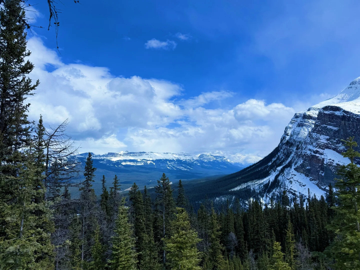 🇨🇦班夫4.19各大景点/湖现场报告（附图）