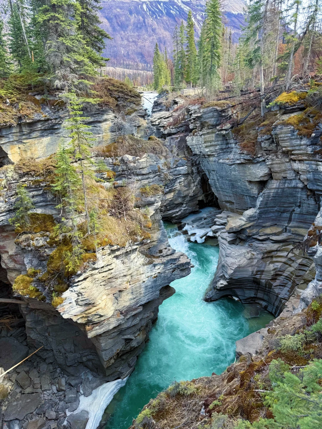 🇨🇦班夫4.19各大景点/湖现场报告（附图）