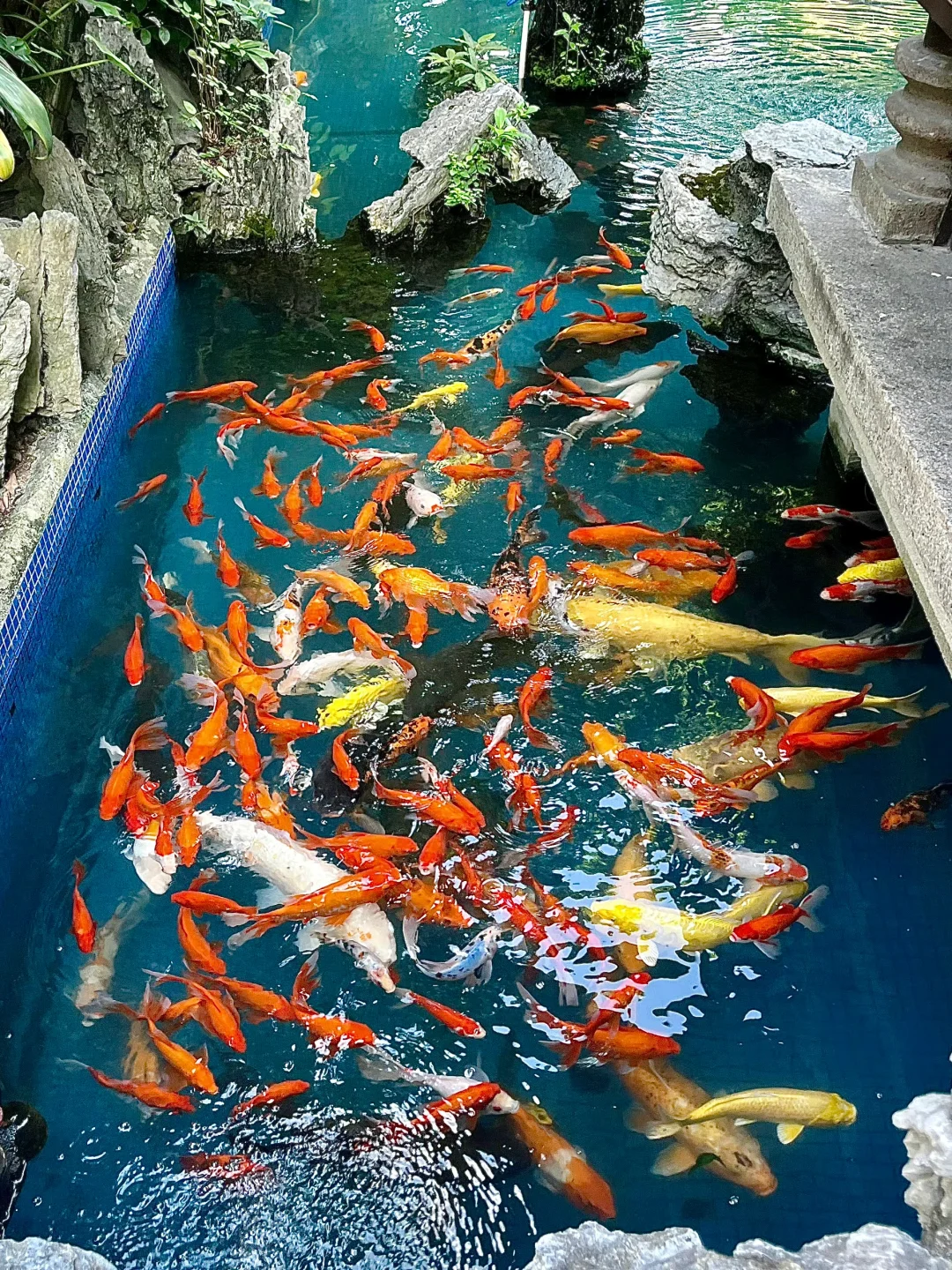 第一次去佛山‼️强烈建议复制这条一日游路线