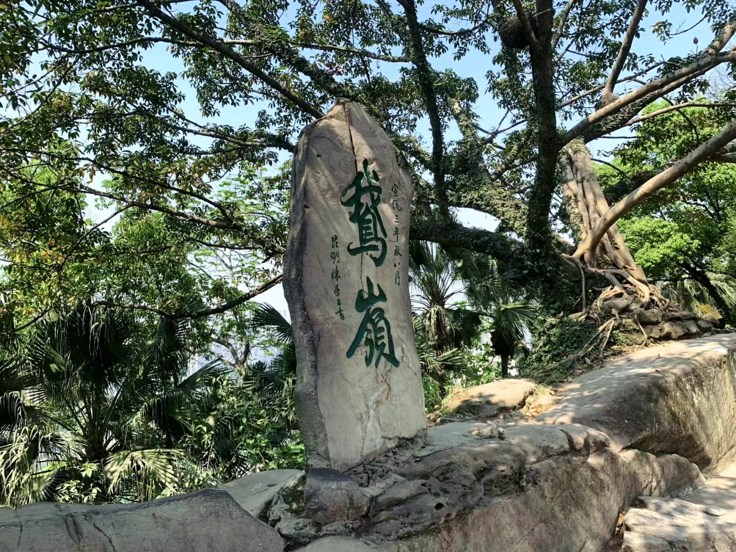 🌳鹅岭公园全攻略📸