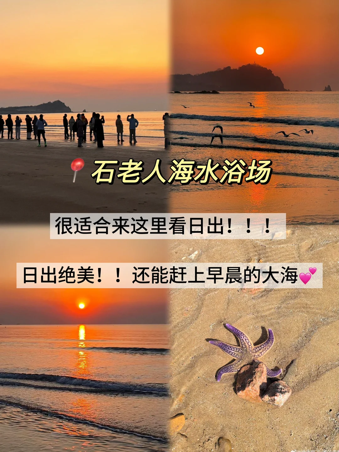 04男大📍青岛两天一夜‼️超用心的青岛攻略📝