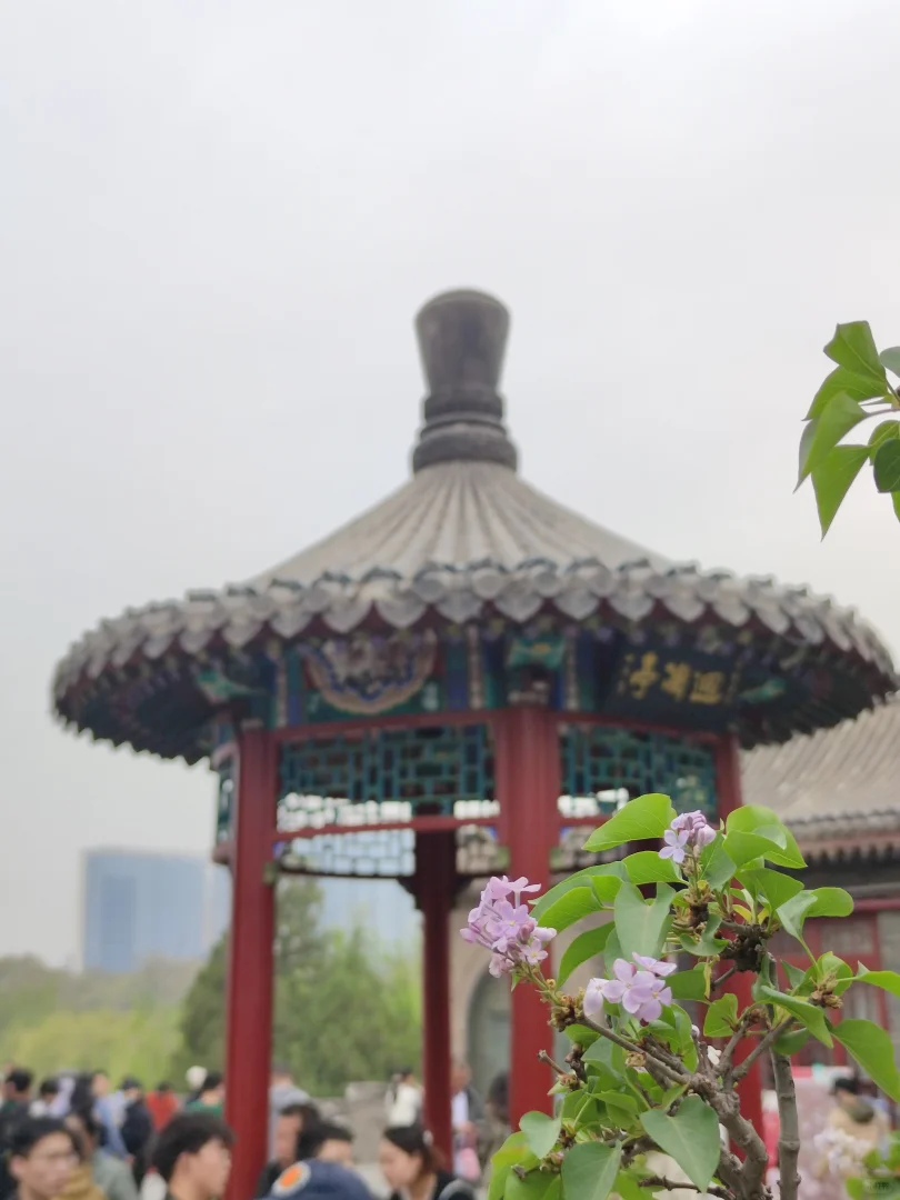 武灵丛台 | 连聚非一，历史的层叠