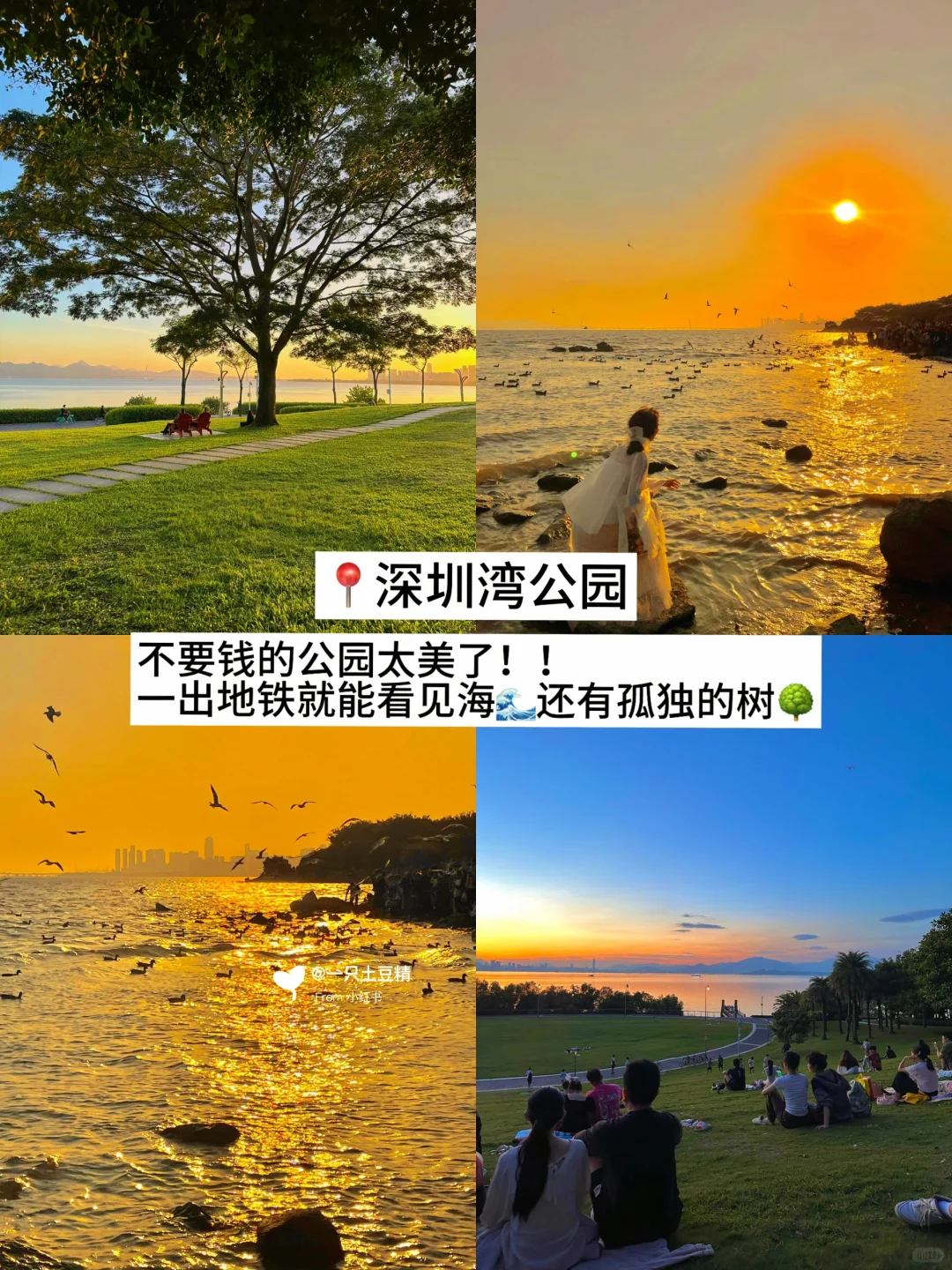 深圳📍淡季Citywalk旅游攻略！！暴走两万步！！