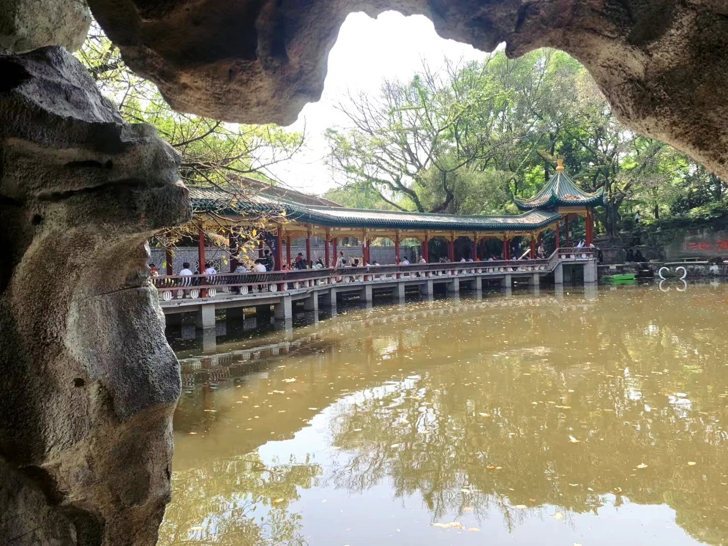 🌳鹅岭公园全攻略📸