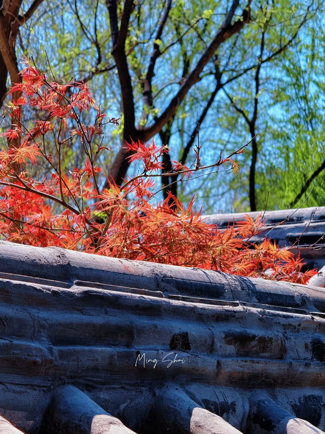 天津🚗4h｜以为苏州够美了，直到我去了趟章丘