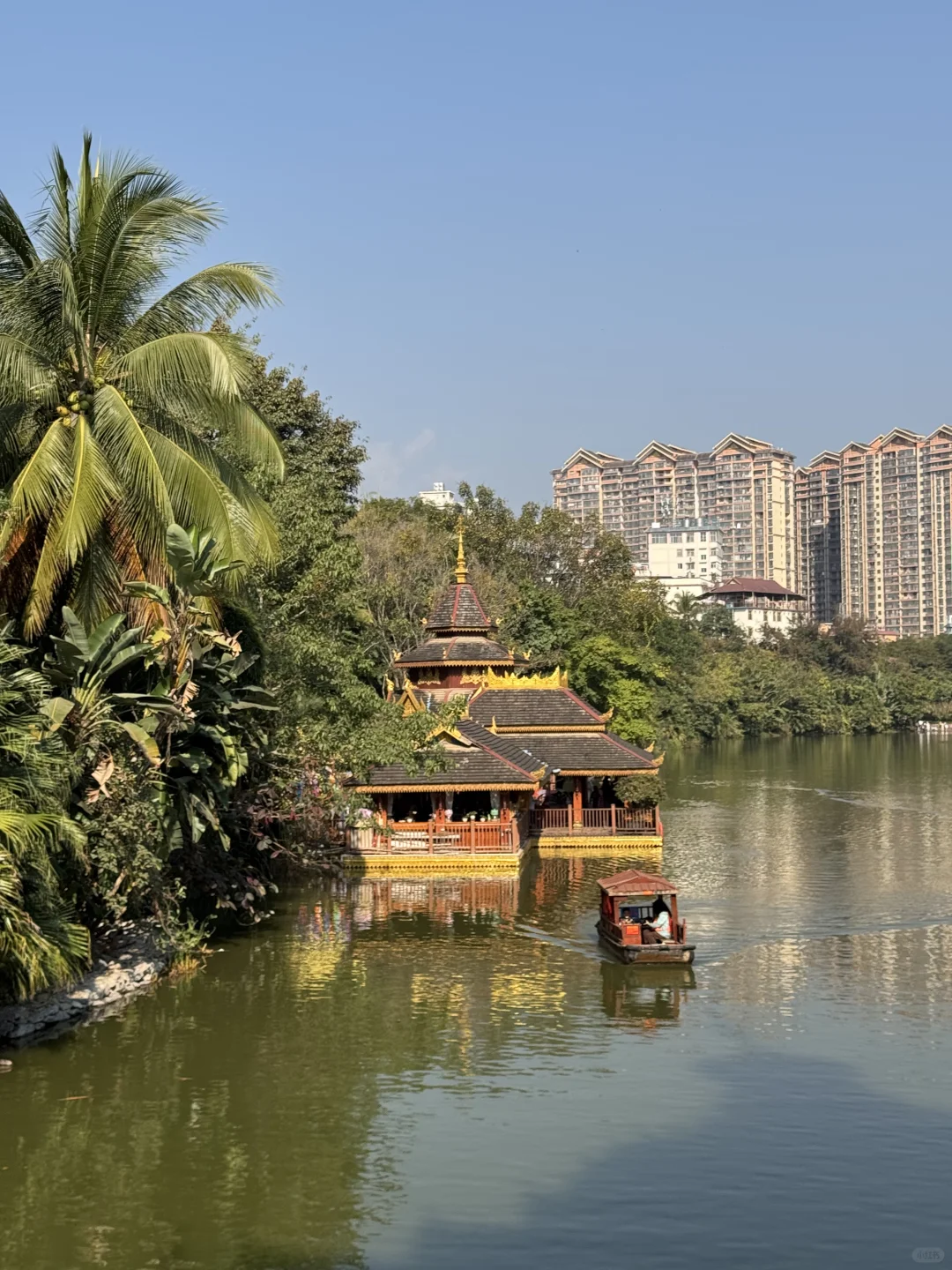 版纳绝美景点🌴超出片📸｜多种玩法（附地图）