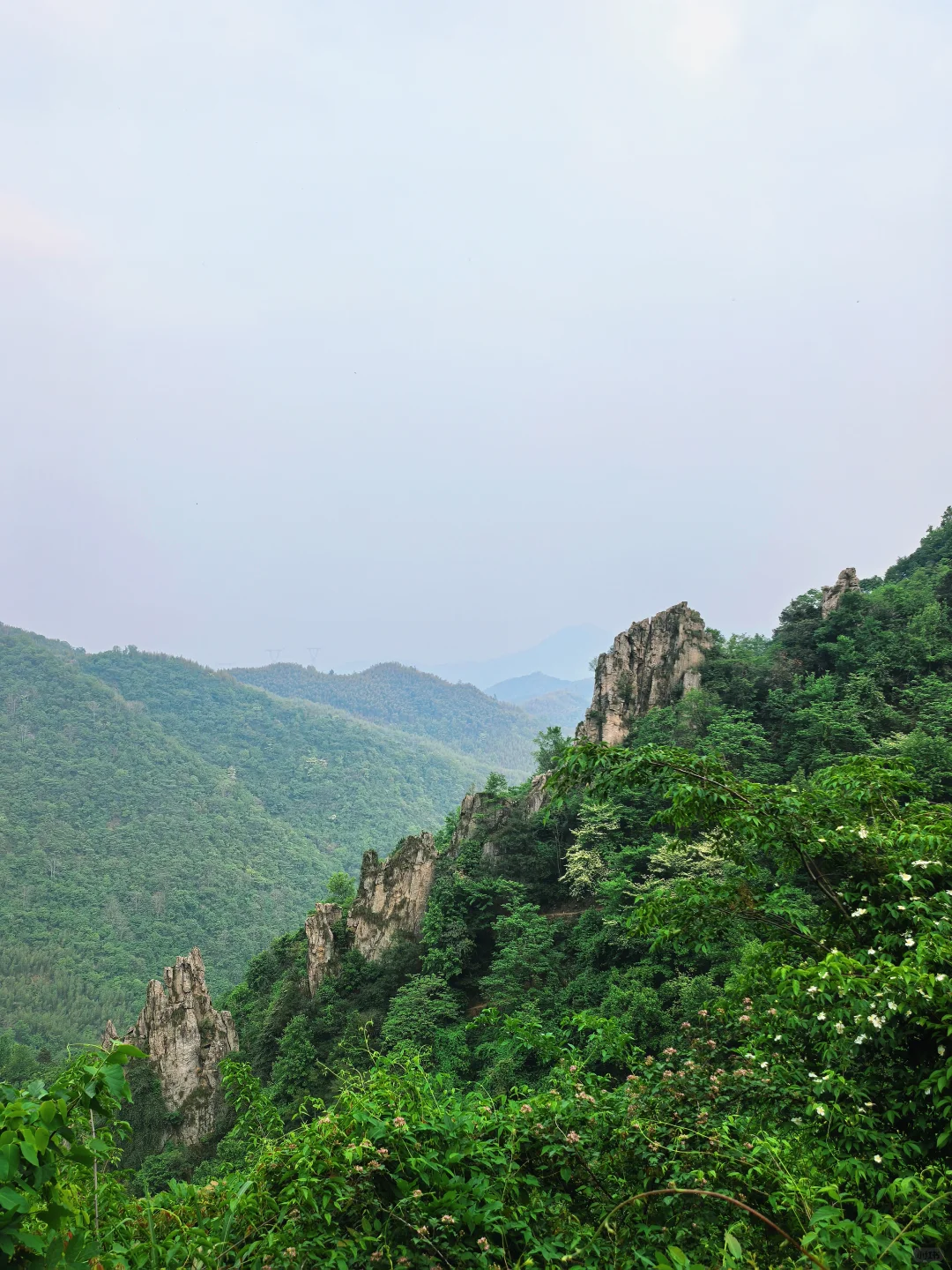 沪漂周末12h出逃→富阳ℓ爬野山,赏映山红