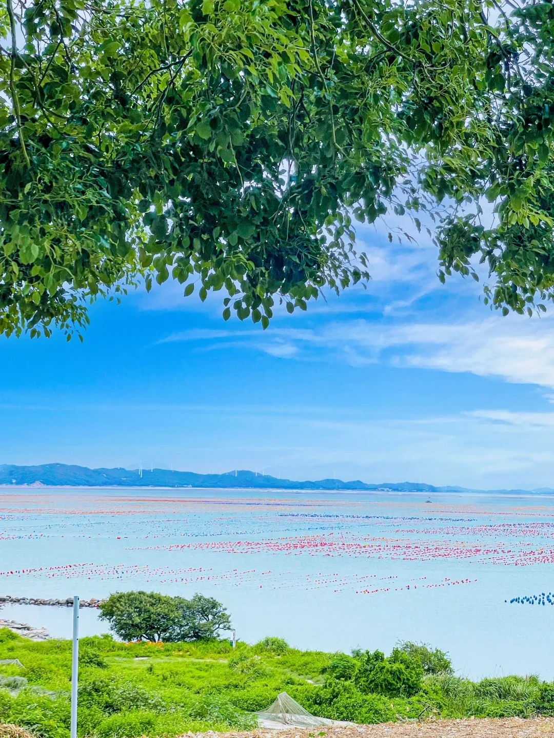 🇨🇳南澳岛🌊｜每天认识一个小岛🏝️（16/100）