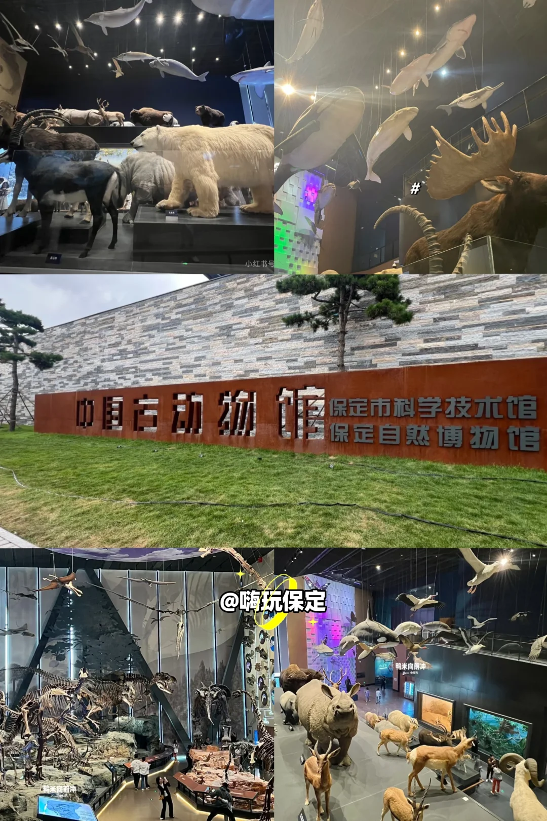 五一游保定🔥本地人私藏攻略📷快看🔍