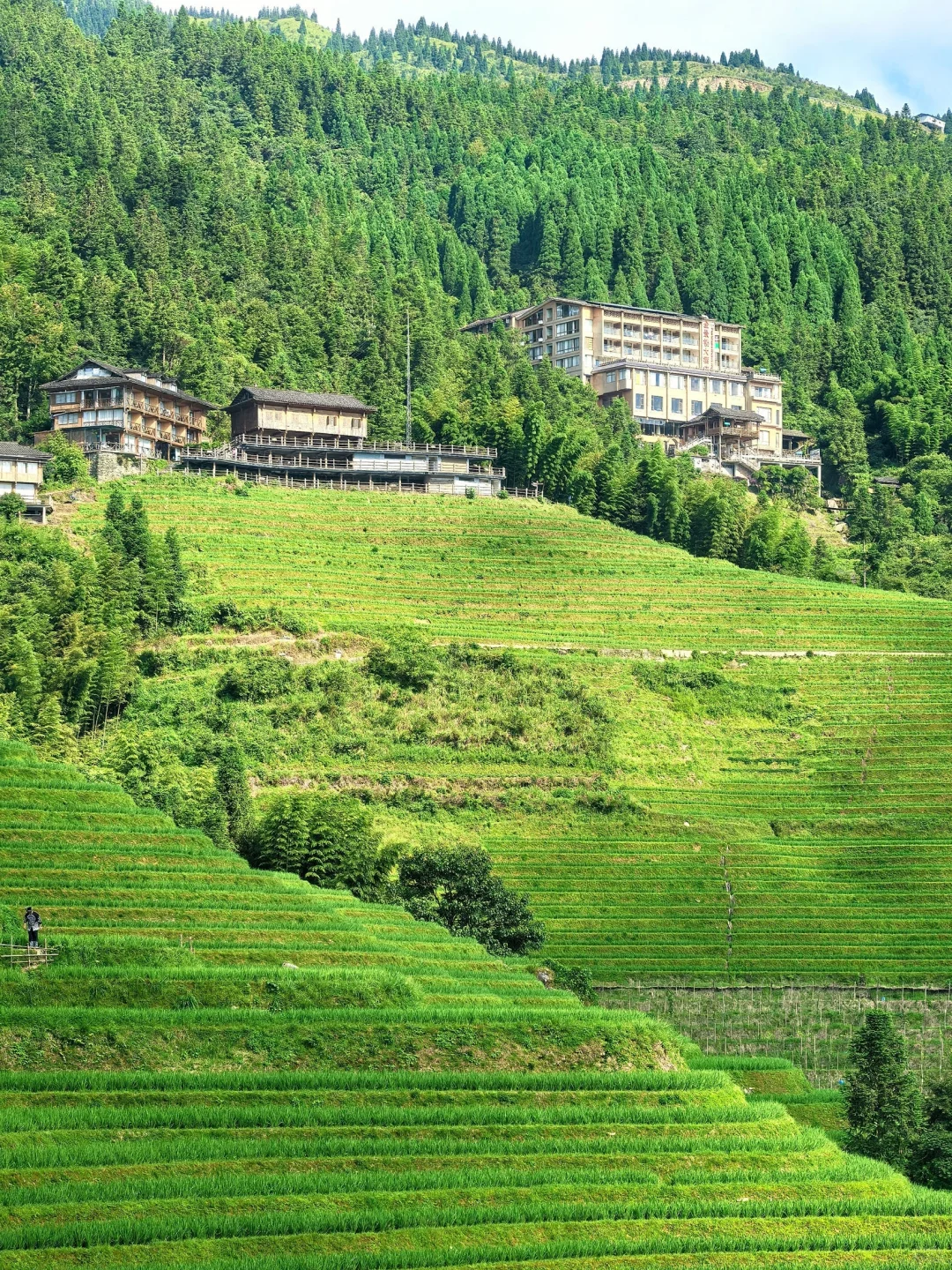 听劝 桂林旅游会惩罚每一个不做攻略的人