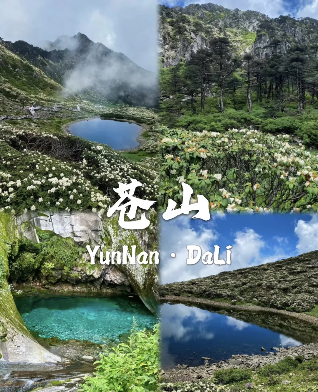 去过有风的地方大理洱海🌊