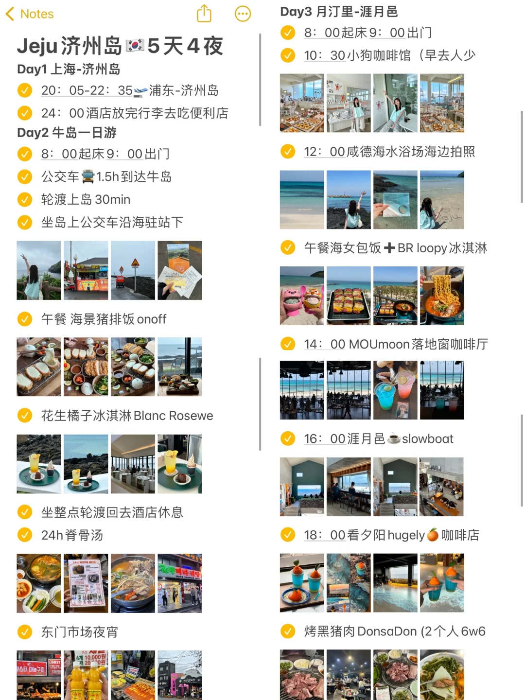 对自己的济州岛攻略满意到睡不着觉…