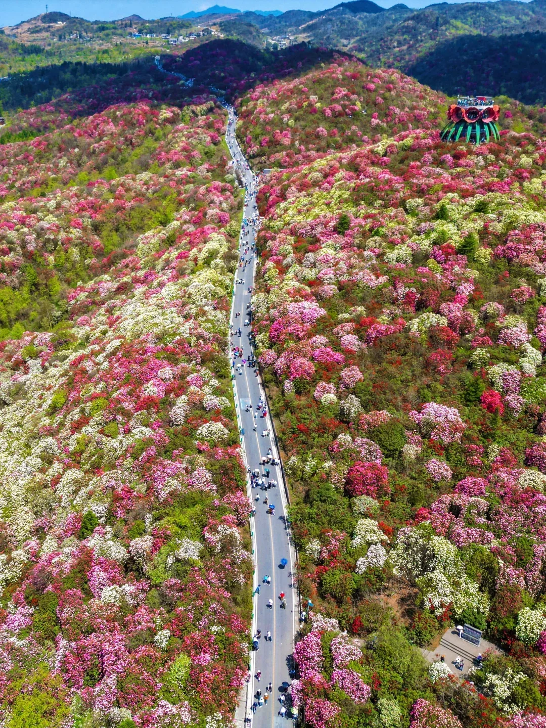 别再挤热门城市了，4月的贵州美到窒息！