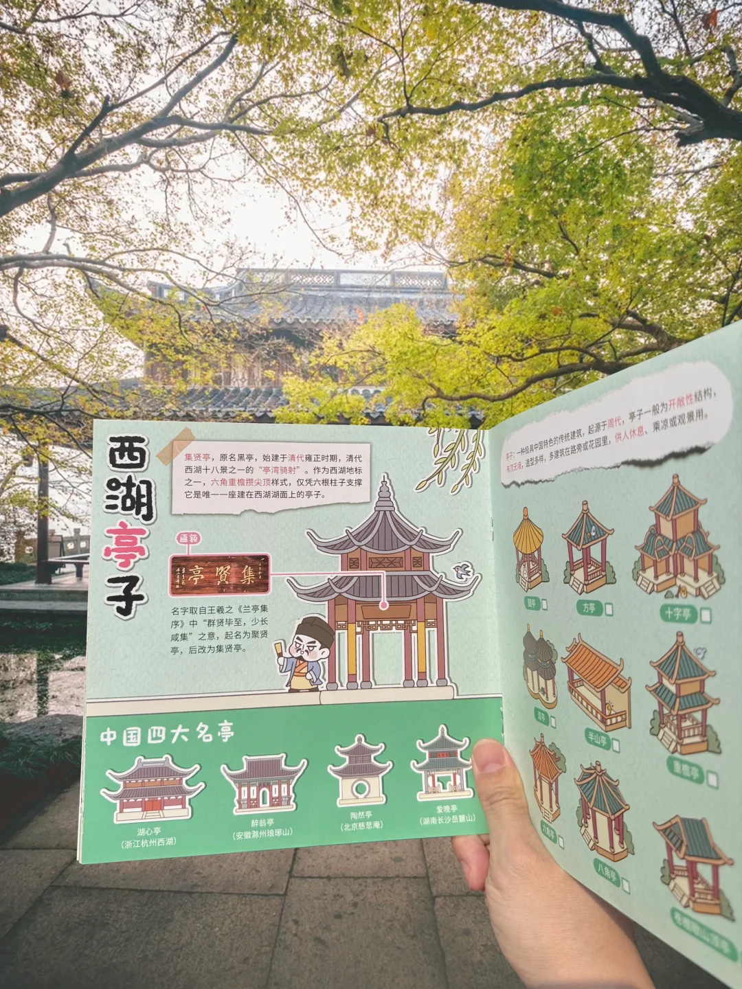 在西湖被追着问的研学手册，孩子太喜欢了❗️