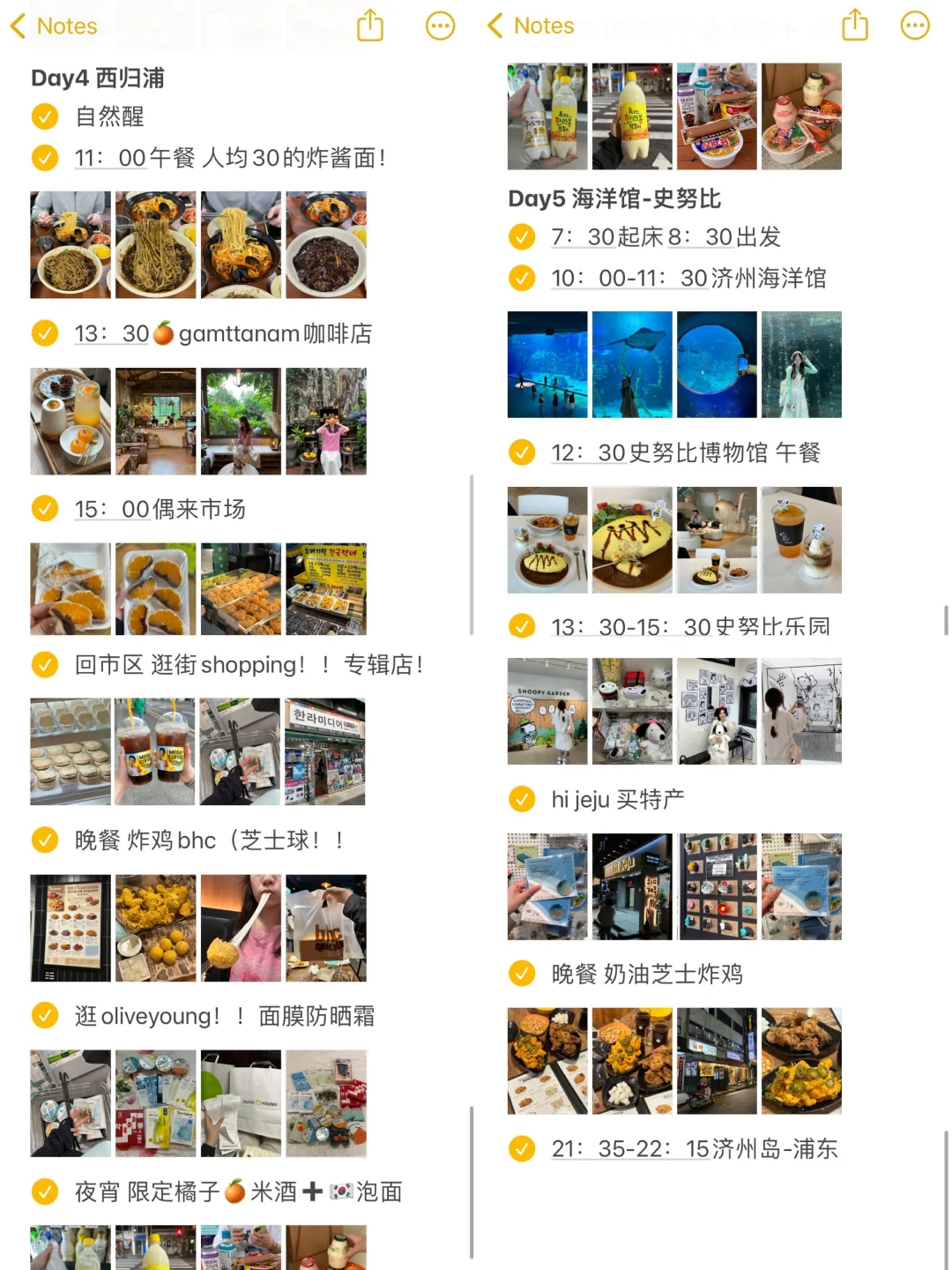 对自己的济州岛攻略满意到睡不着觉…