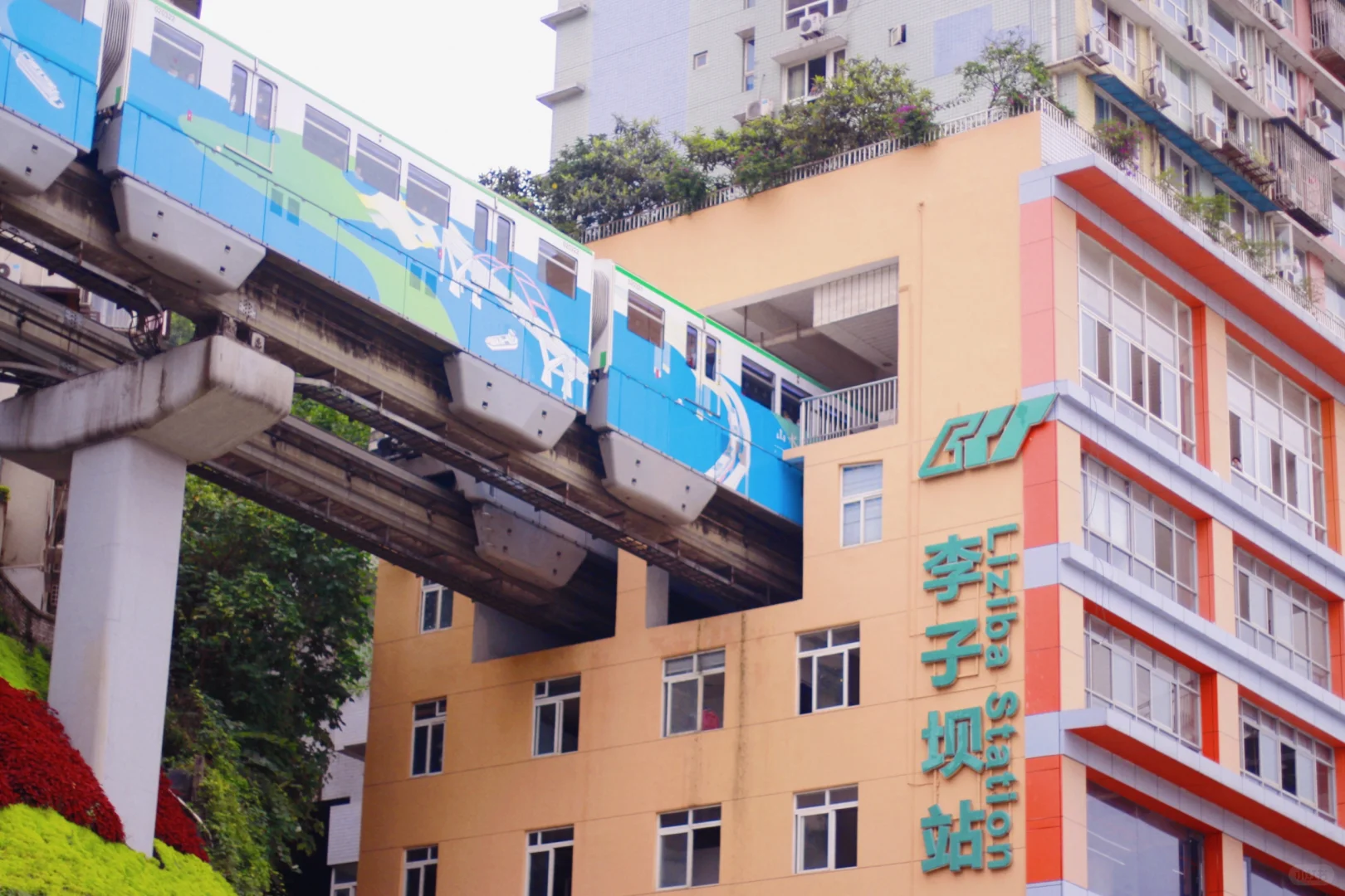 重庆两日游,看这一篇就够了 !