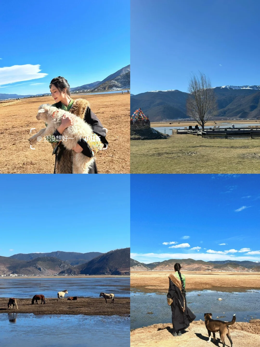 和男友去云南👫七天花了2600💰说说感受!