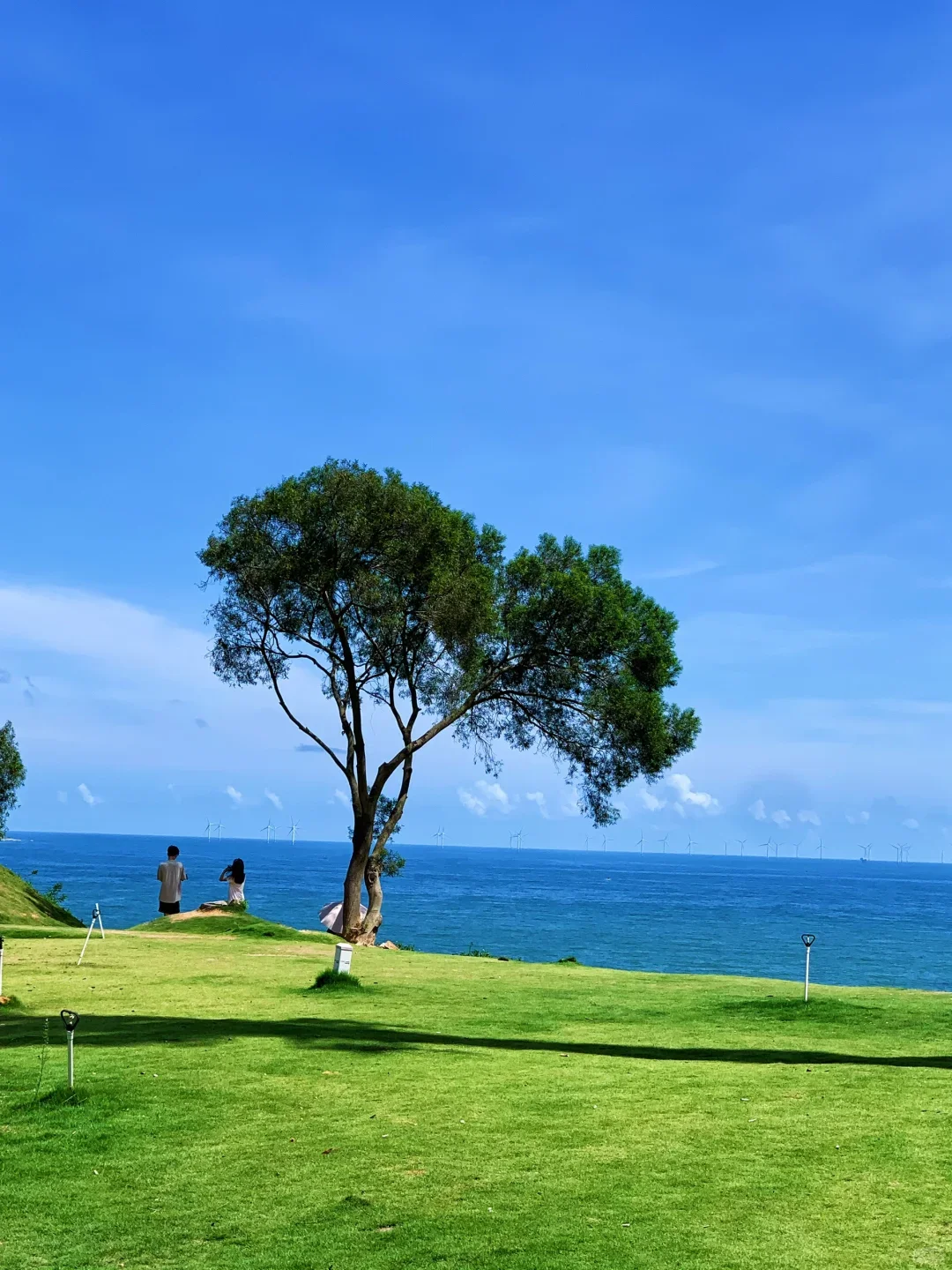 🇨🇳南澳岛🌊｜每天认识一个小岛🏝️（16/100）