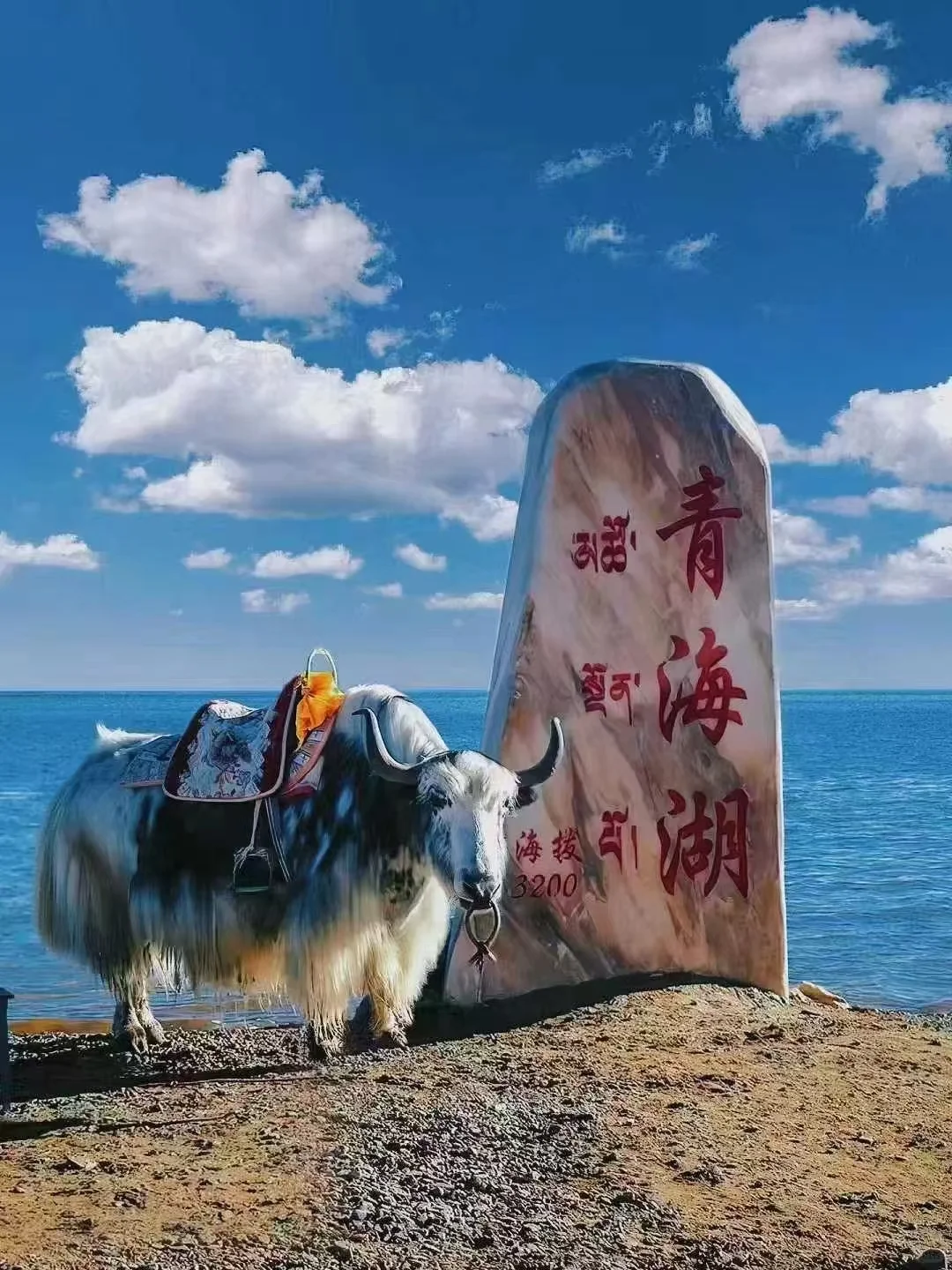 甘青自驾游8天经典行程