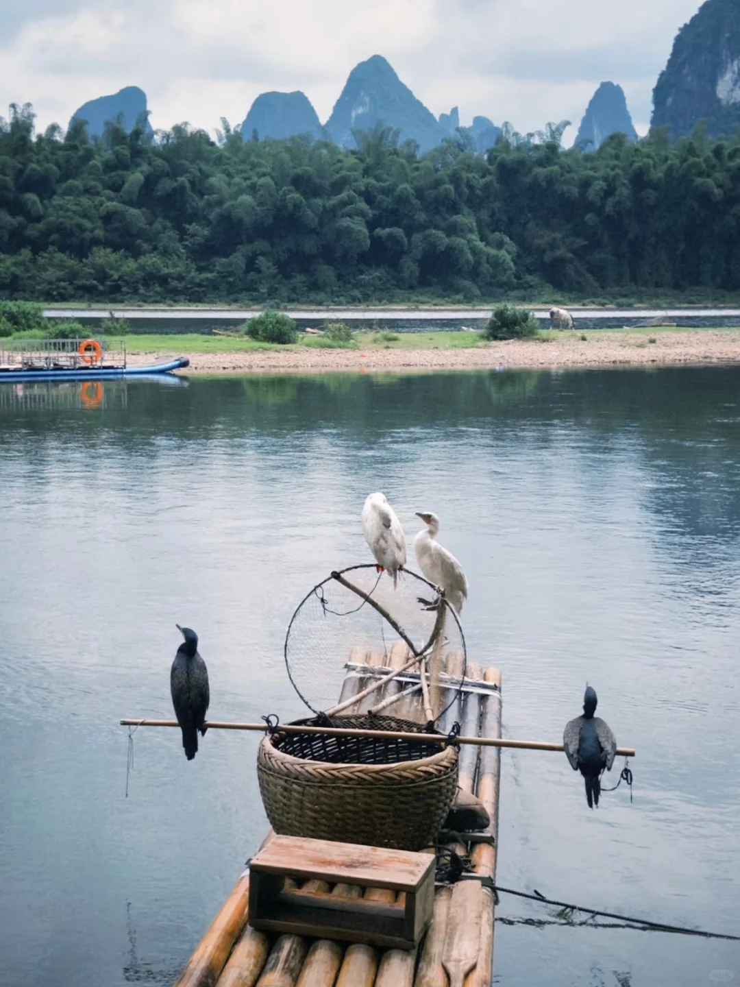 听劝 桂林旅游会惩罚每一个不做攻略的人