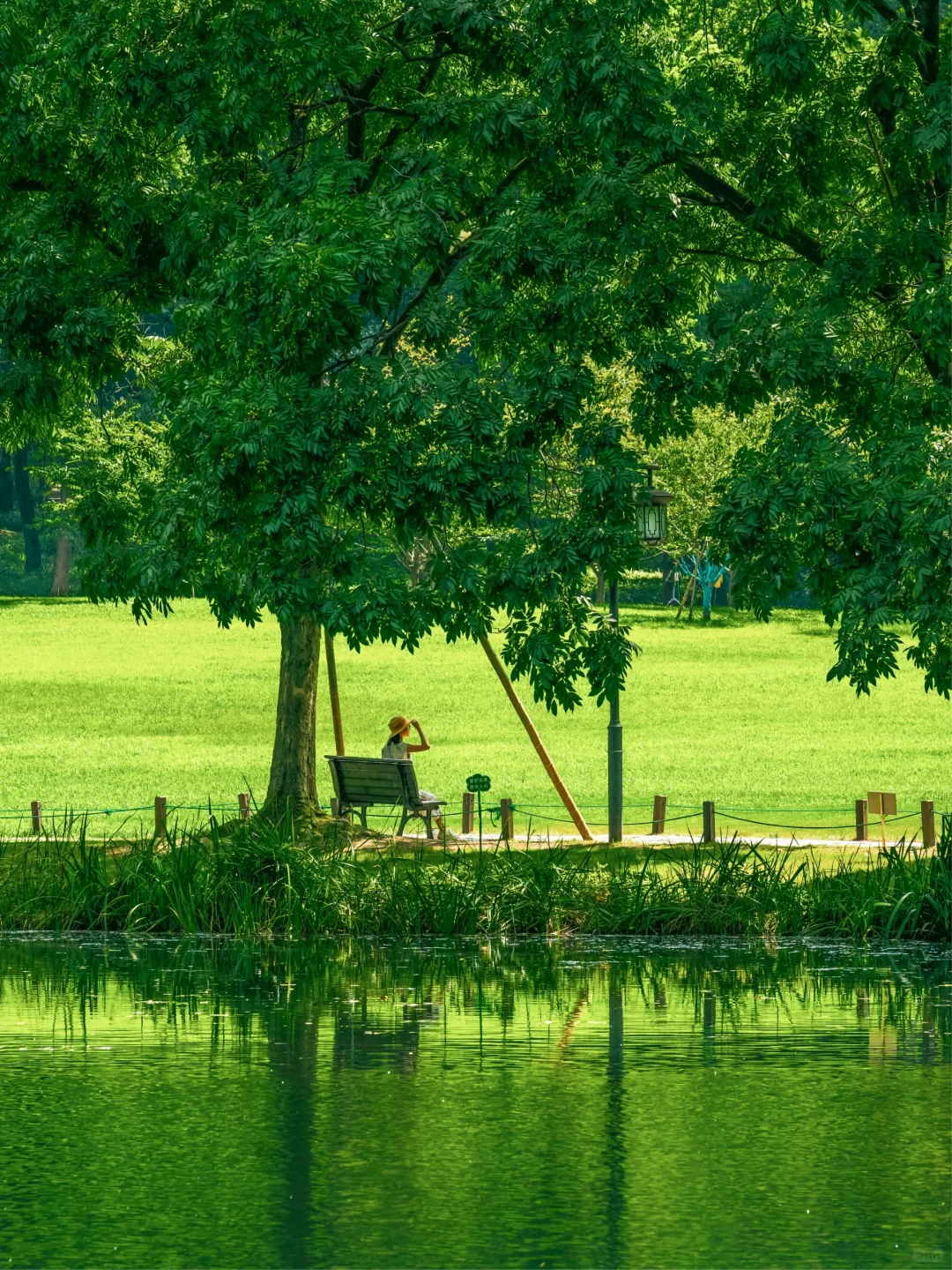 比起雷峰塔，我更推荐西湖这些小众好去处❗