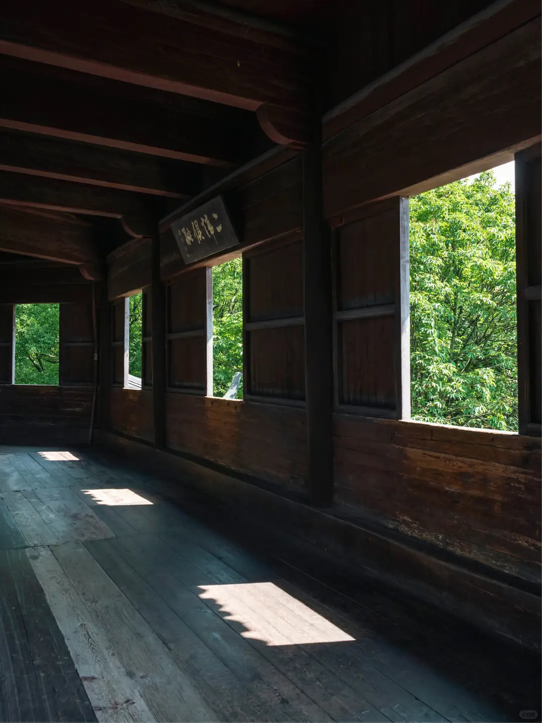 比起雷峰塔，我更推荐西湖这些小众好去处❗