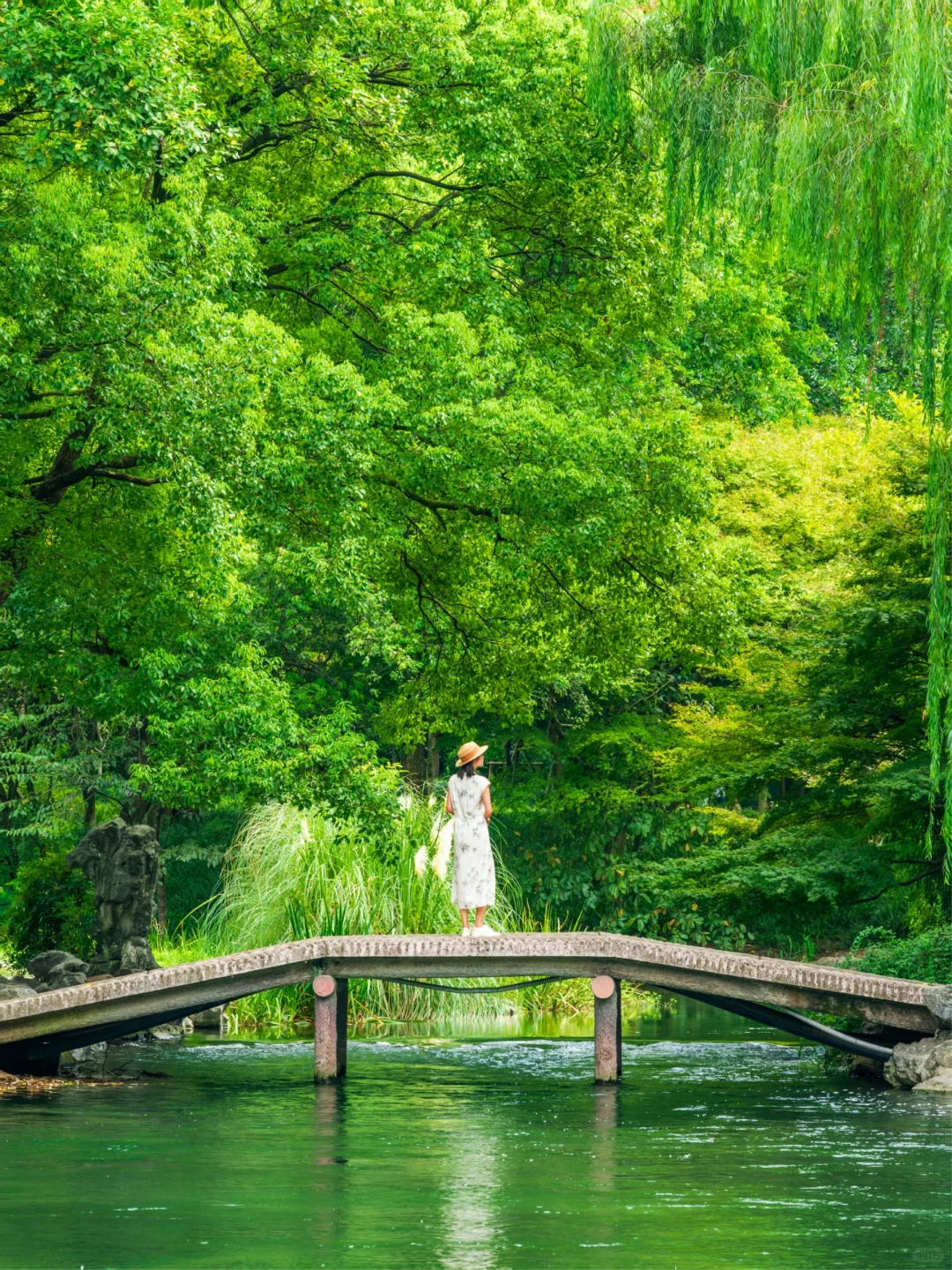 比起雷峰塔，我更推荐西湖这些小众好去处❗