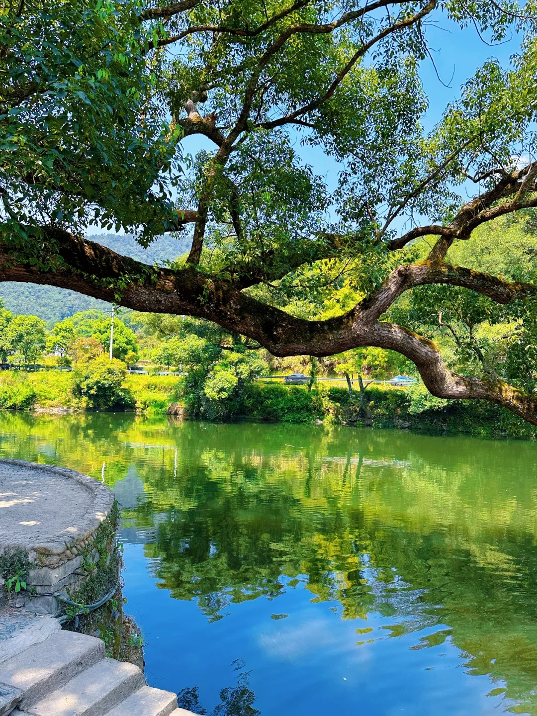 上坦村｜小众千年古村落体验竹筏漂流