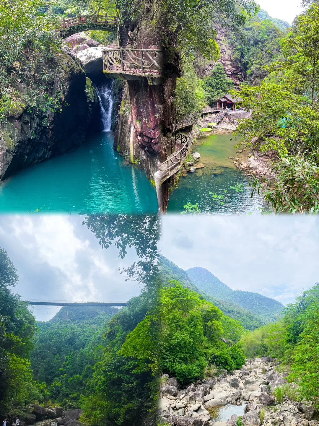 哇哦！温州，也出情况啦🍉🍉🍉🍉