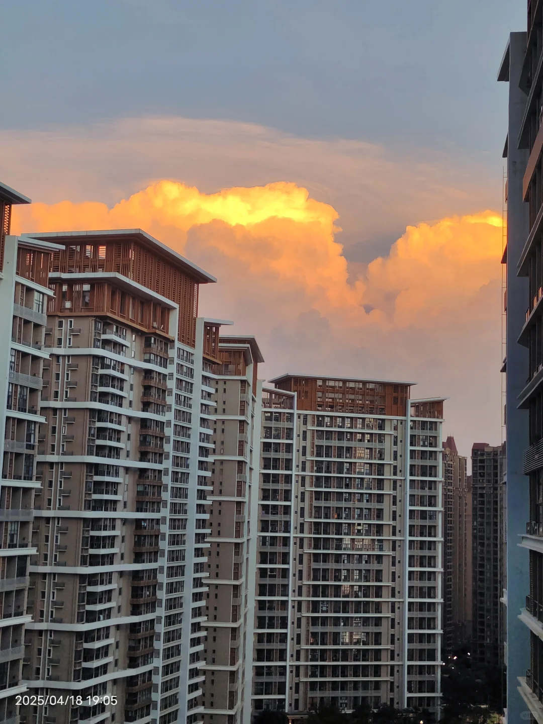 海花岛旅居攻略|2号岛最全旅游攻略🔥