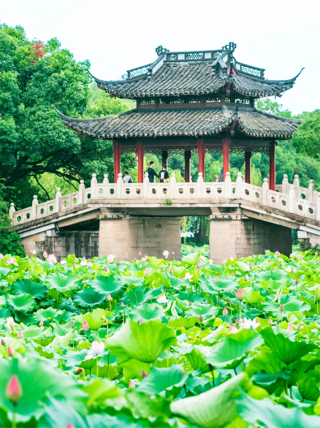 比起雷峰塔，我更推荐西湖这些小众好去处❗