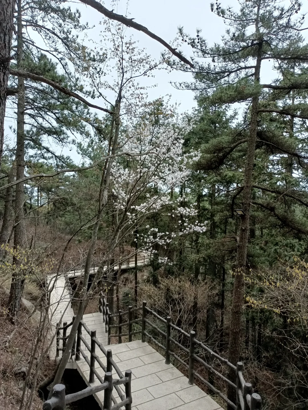 景色很好的冷门景点—天柱山