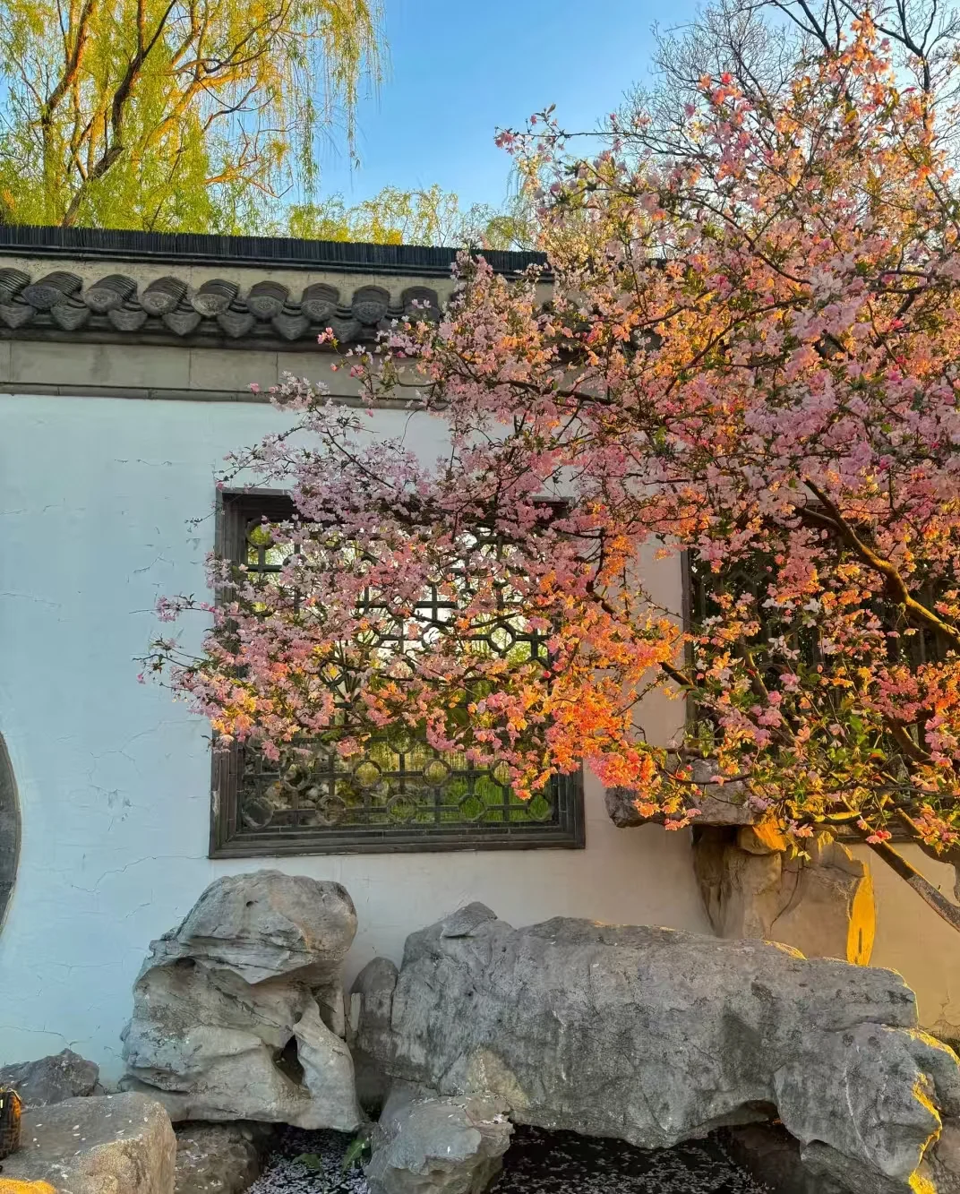 长清宝藏景点，你去过几个