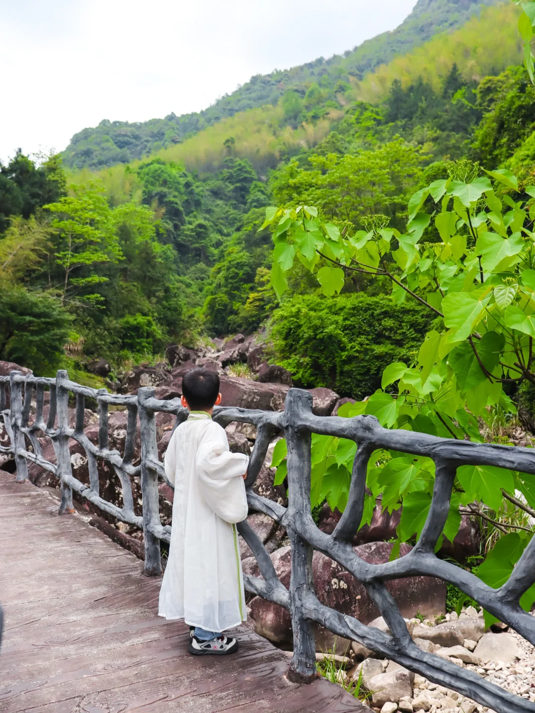 哇哦！温州，也出情况啦🍉🍉🍉🍉