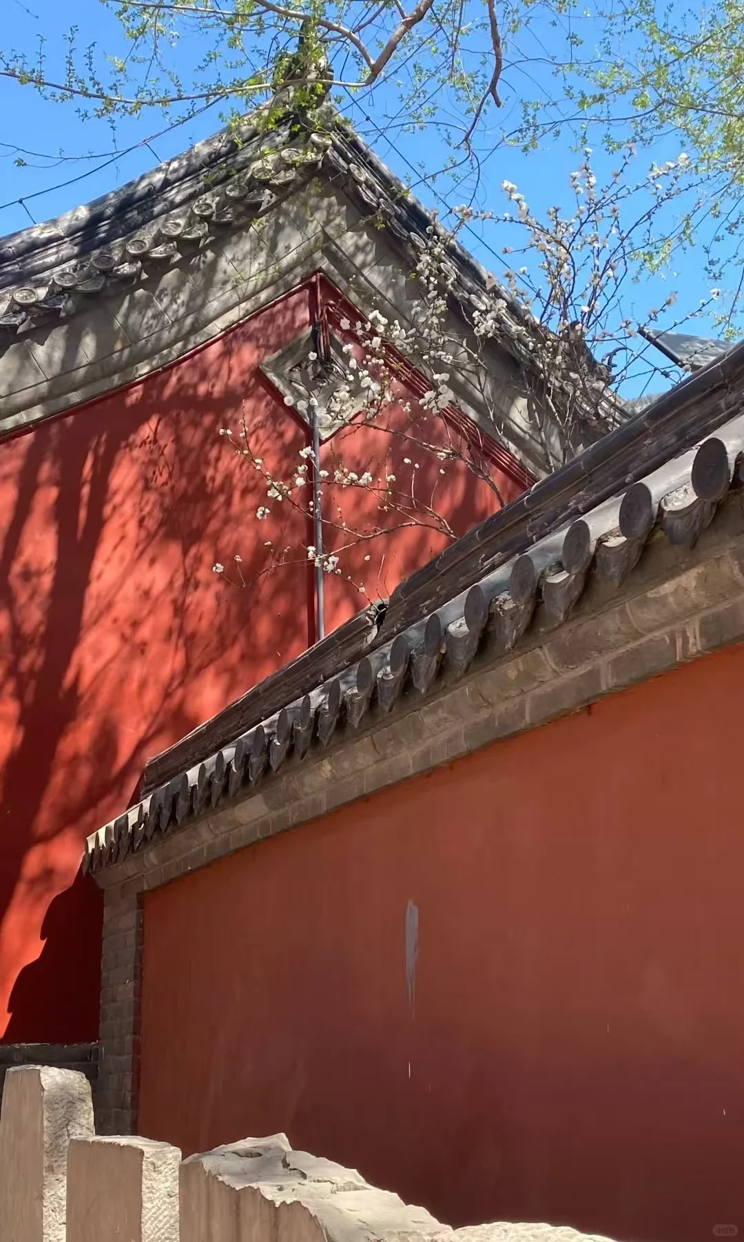 长清宝藏景点，你去过几个