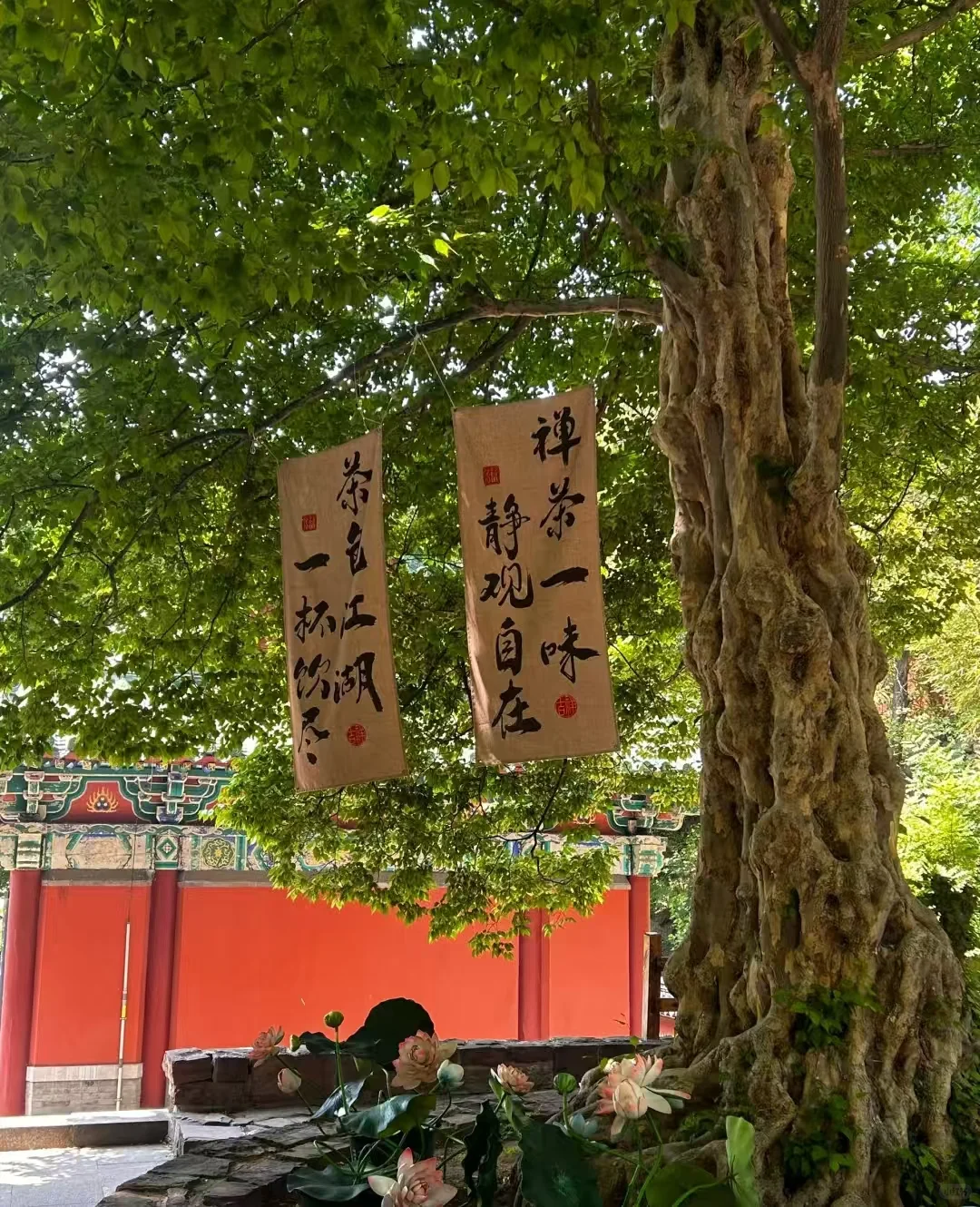 长清宝藏景点，你去过几个
