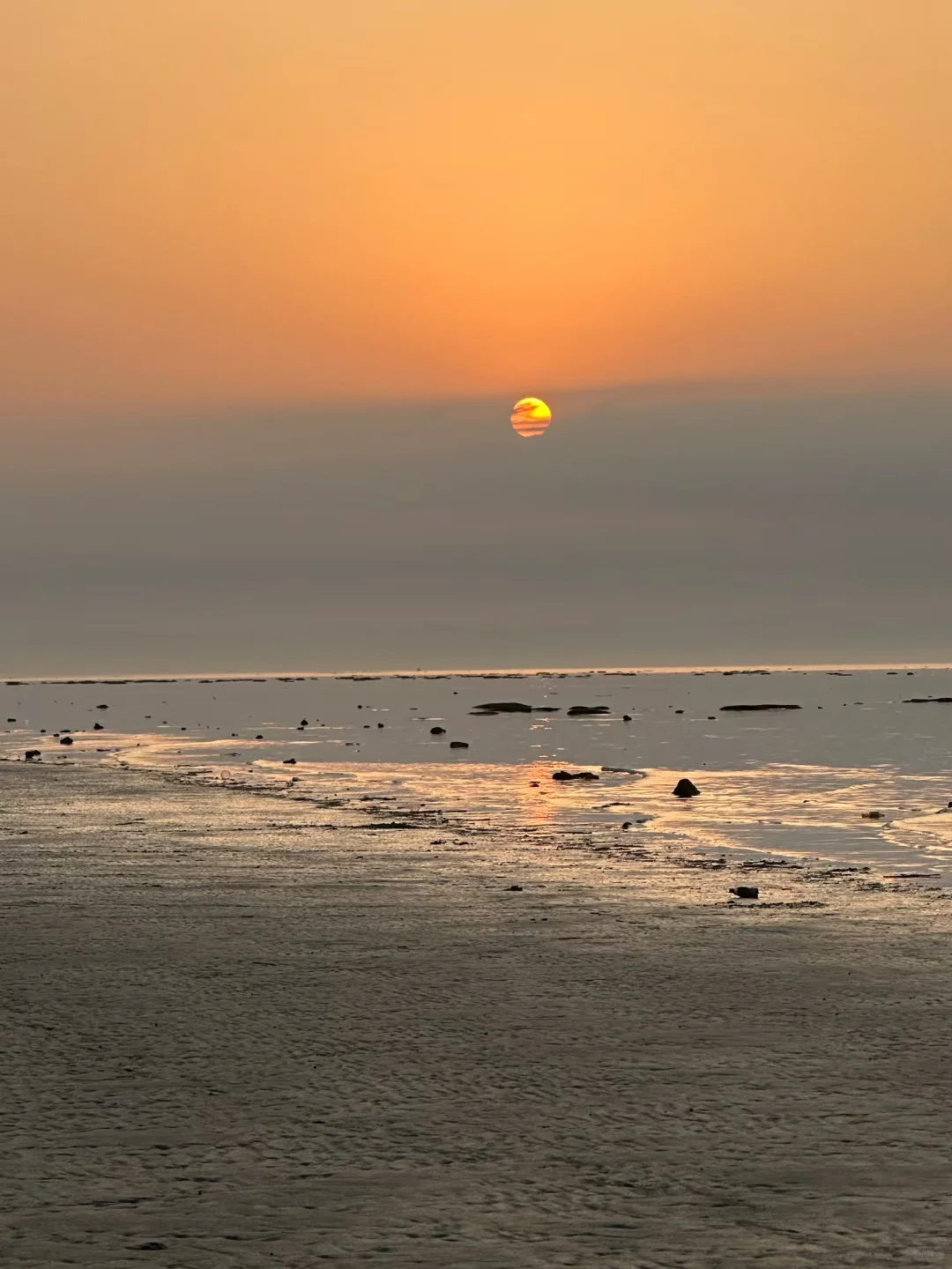海花岛旅居攻略|2号岛最全旅游攻略🔥