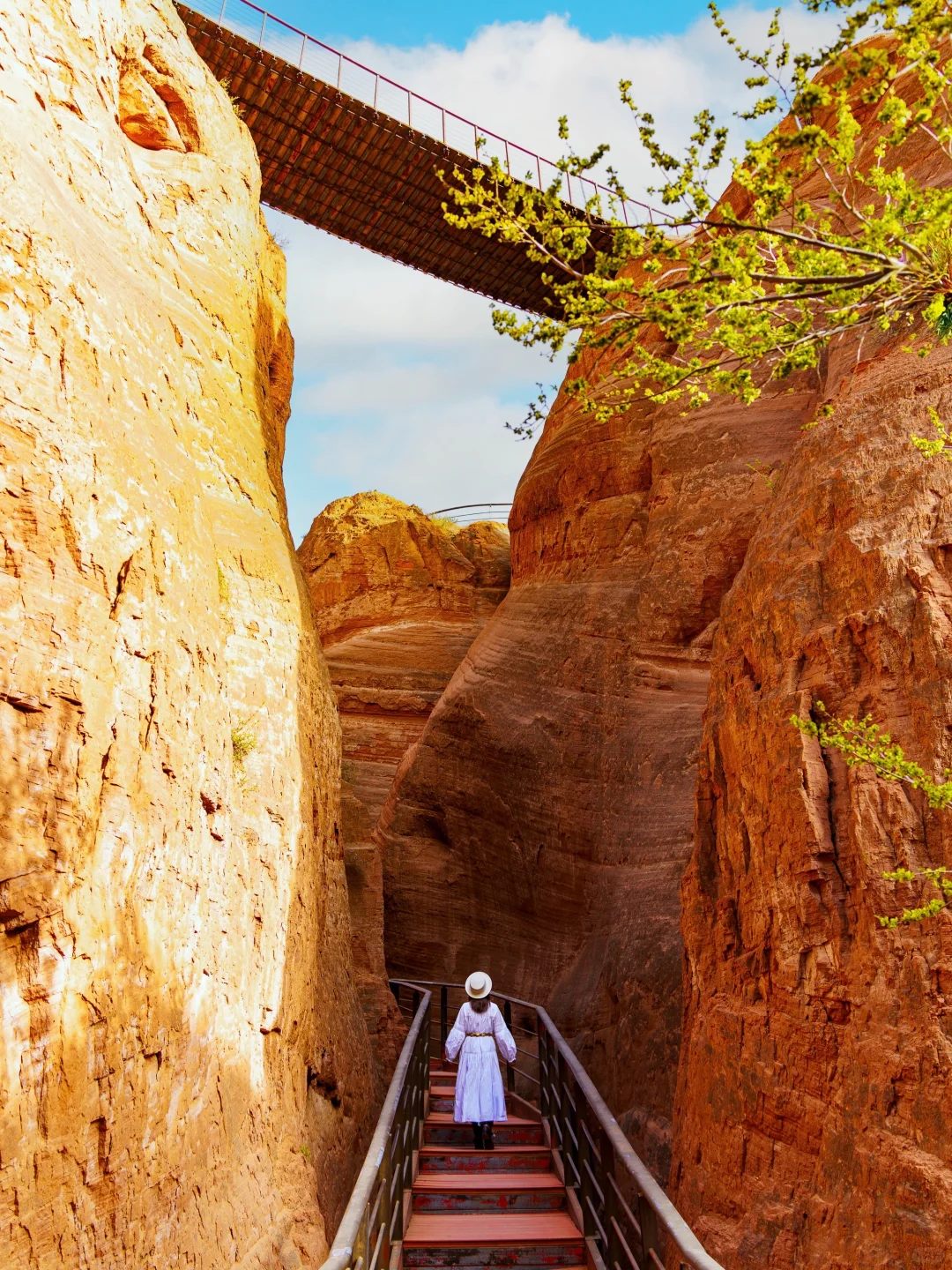 朋友圈问爆了💥还以为我去了国外🤣🤣🤣