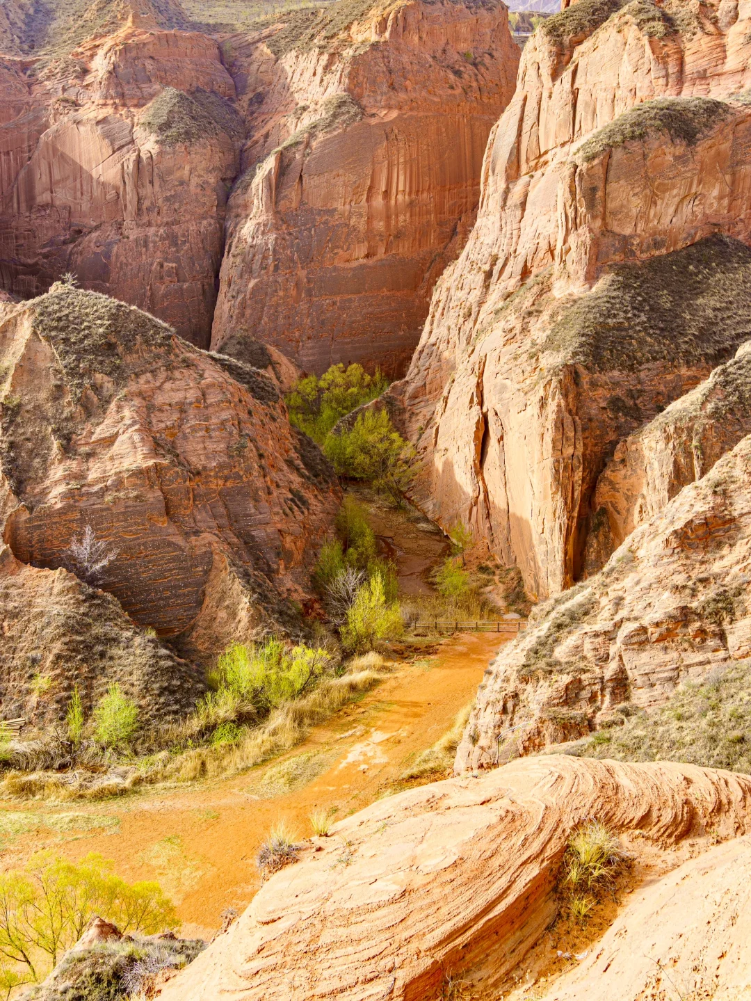 朋友圈问爆了💥还以为我去了国外🤣🤣🤣