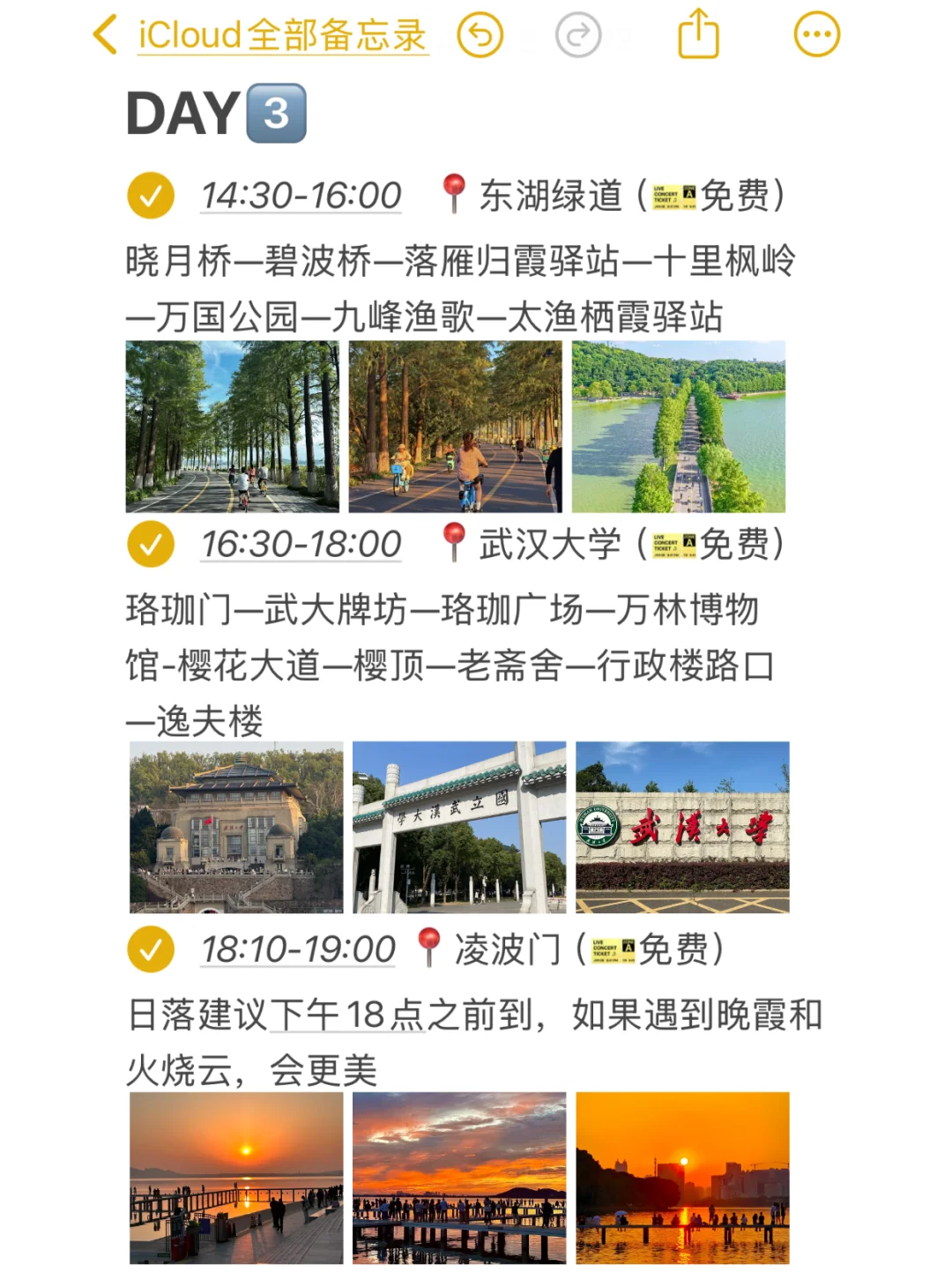 3刷武汉！本人做的攻略已经next level了！！