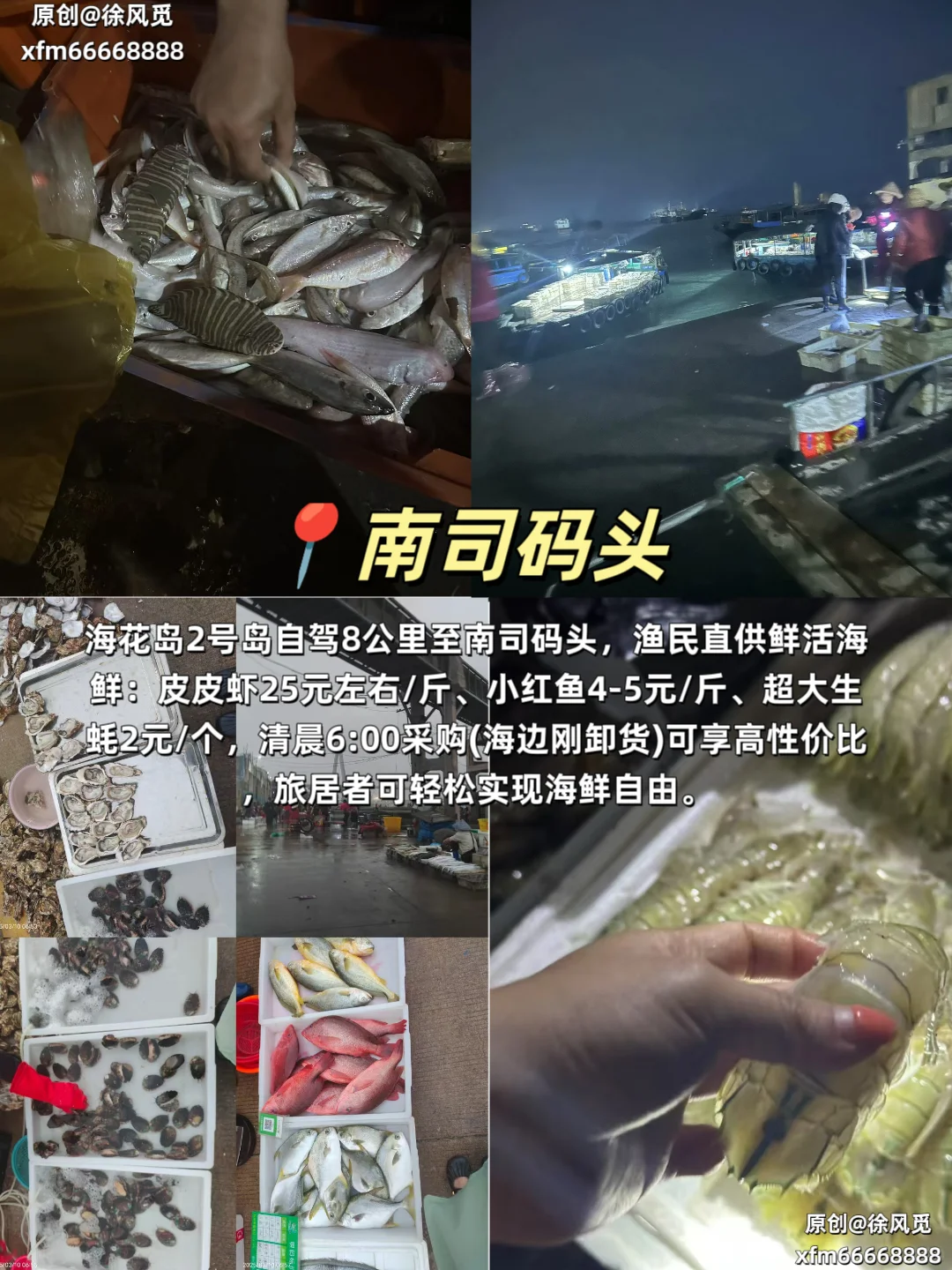 海花岛旅居攻略|2号岛最全旅游攻略🔥