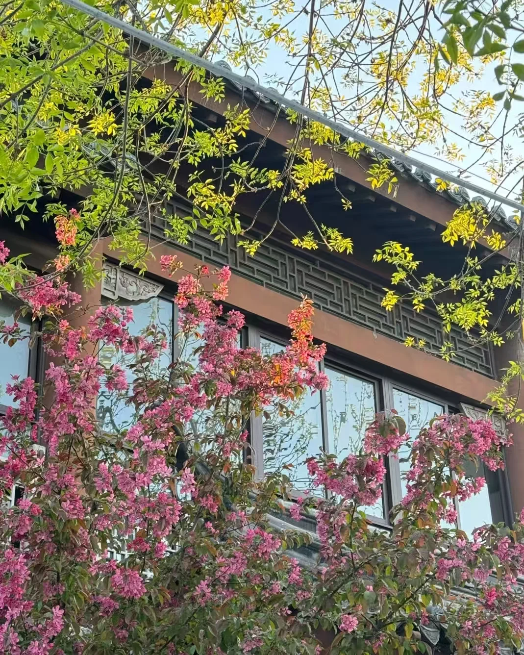 长清宝藏景点，你去过几个