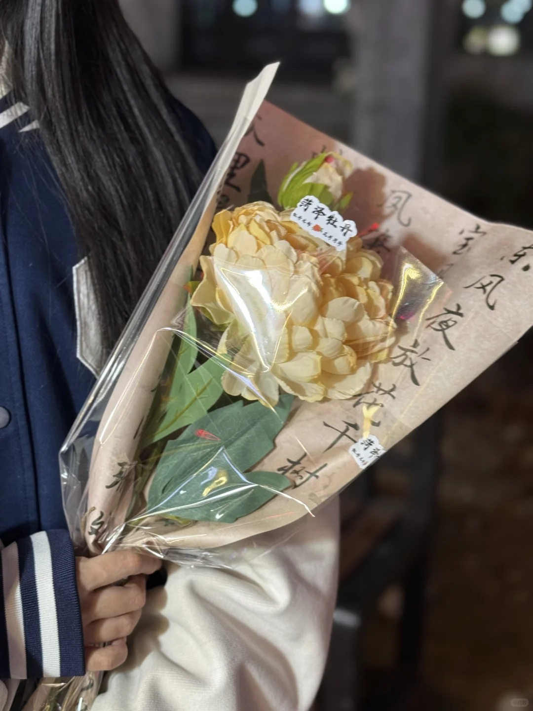 牡丹花曹州古城