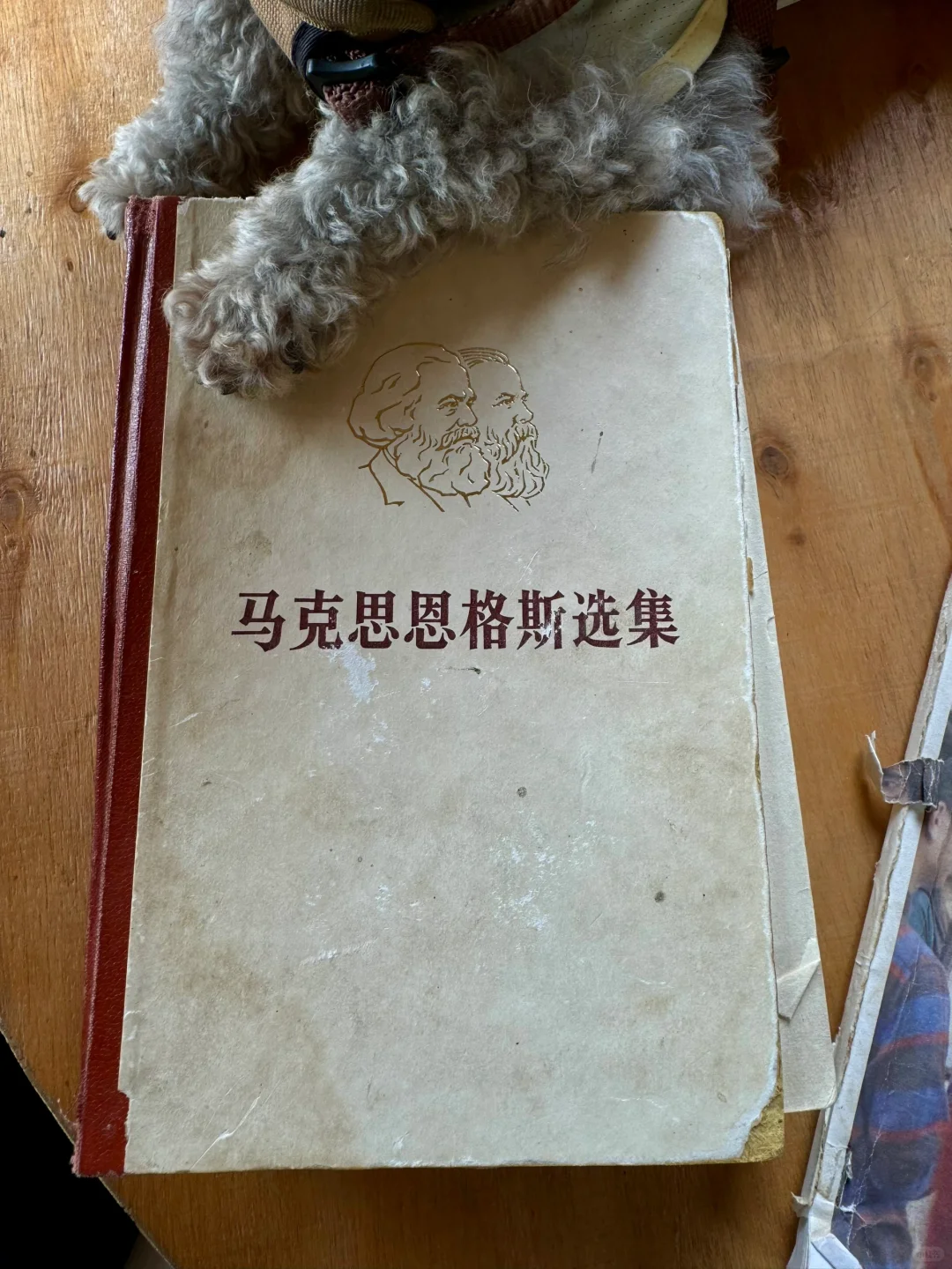 谁还不知道丽江有这么个神奇的地方啊