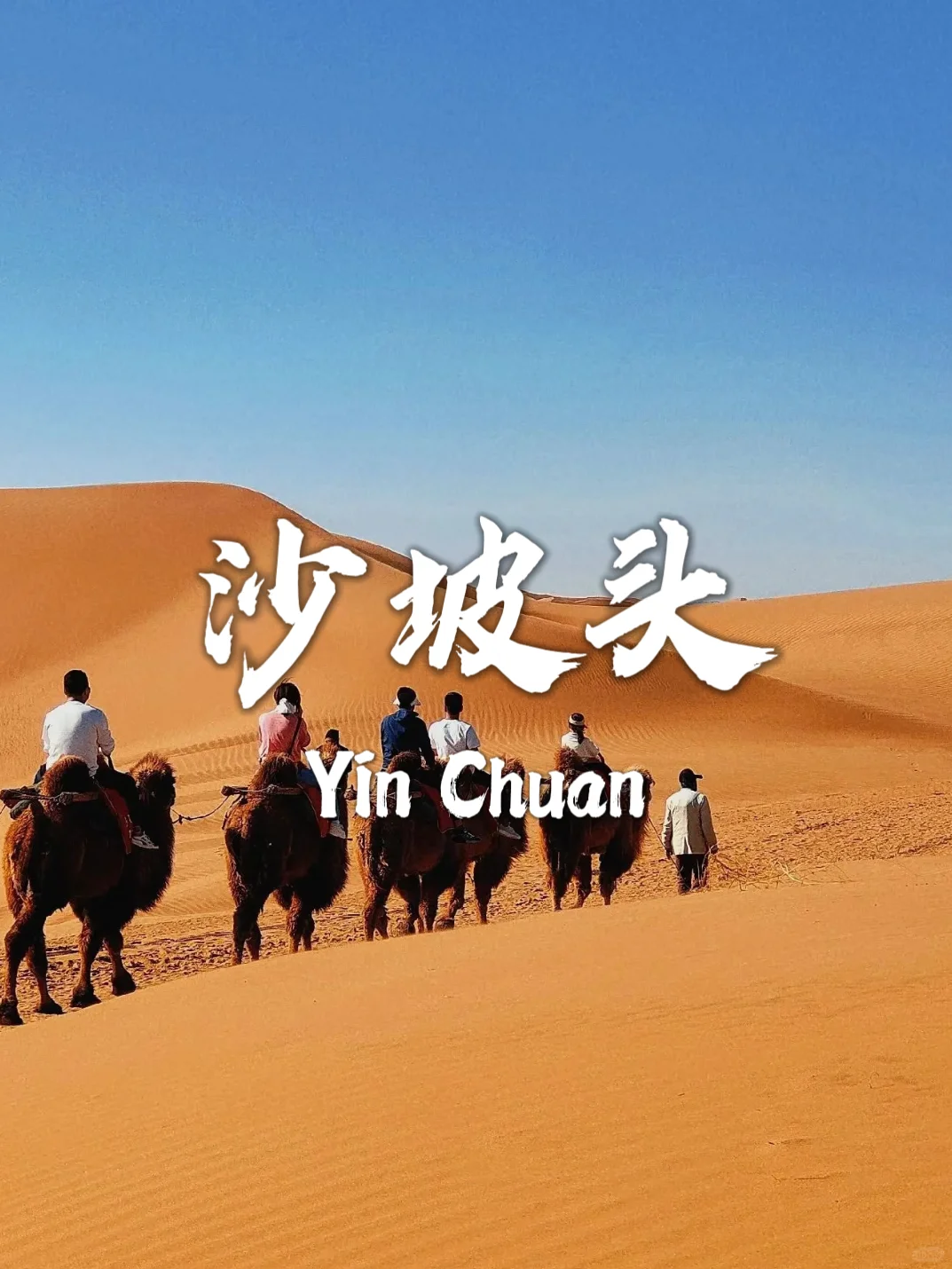 银川必打卡九个宝藏景点！