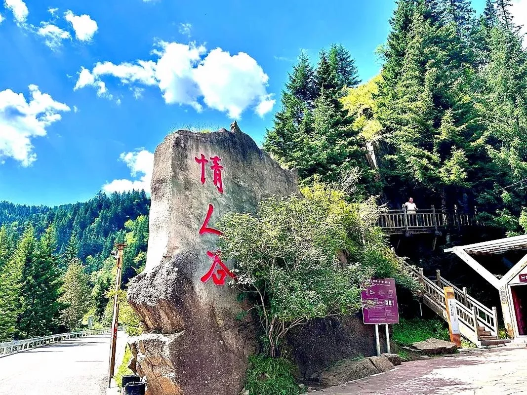 🌄山西芦芽山超全旅行攻略｜闯入人间仙境