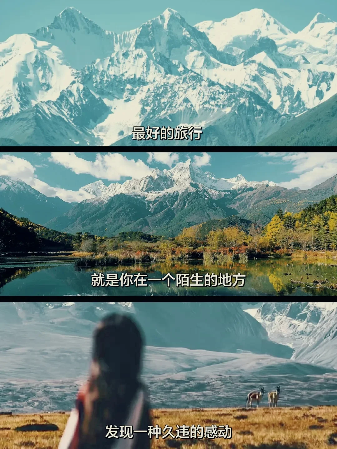 “旅行中只用半句话，就能刷爆朋友圈”